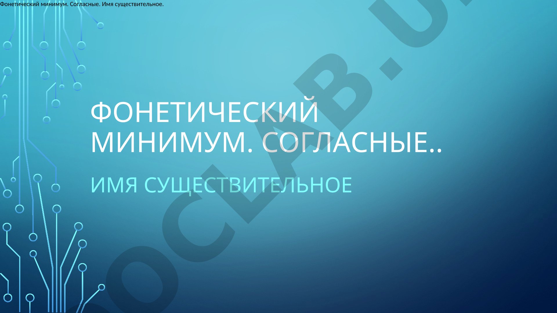 Фонетический минимум. Согласные. Имя существительное