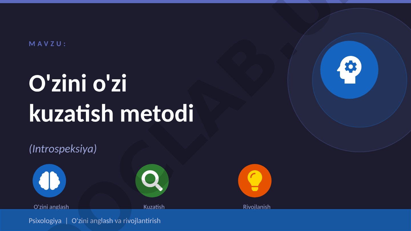 O'zini o'zi kuzatish metodi (Introspeksiya)