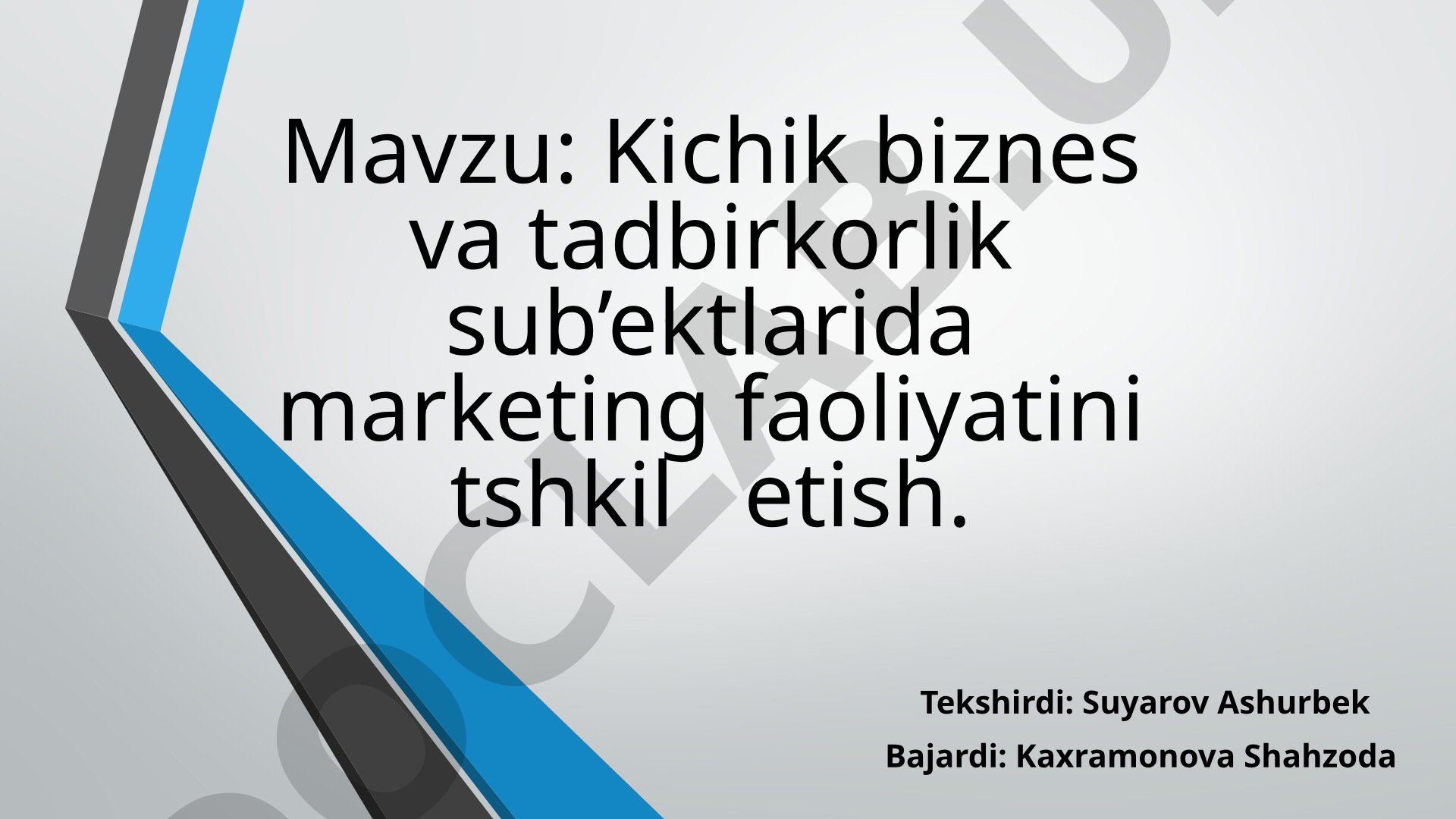 Kichik biznes va tadbirkorlik sub’ektlarida marketing faoliyatini tashkil etish