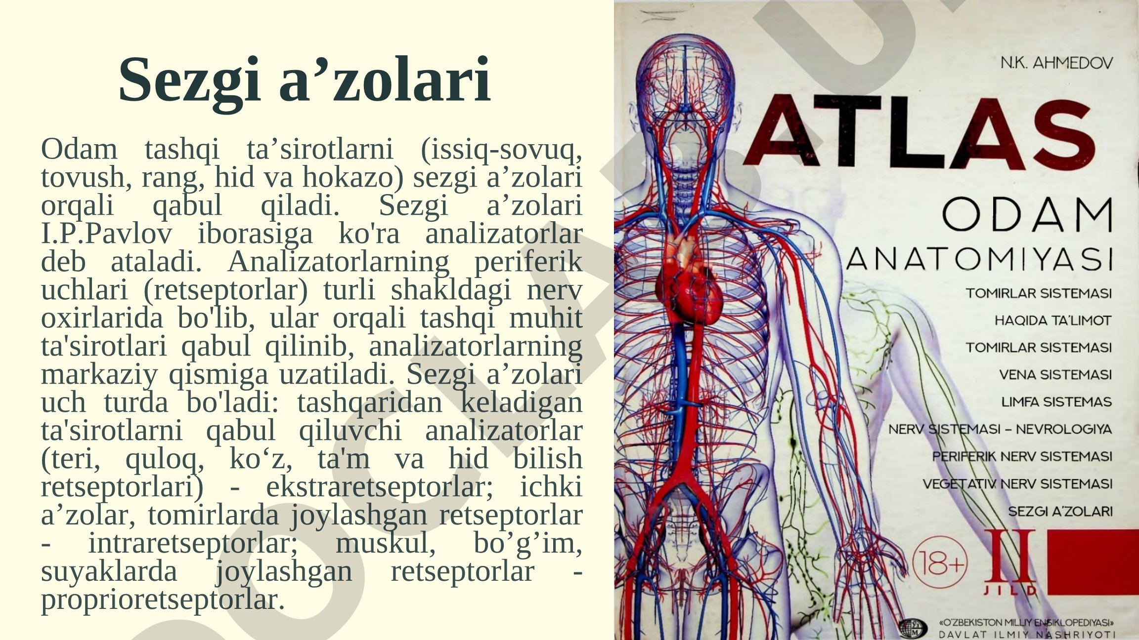 Sezgi a'zolari turlari: ekstra-, intra- va proprioretseptorlar haqida