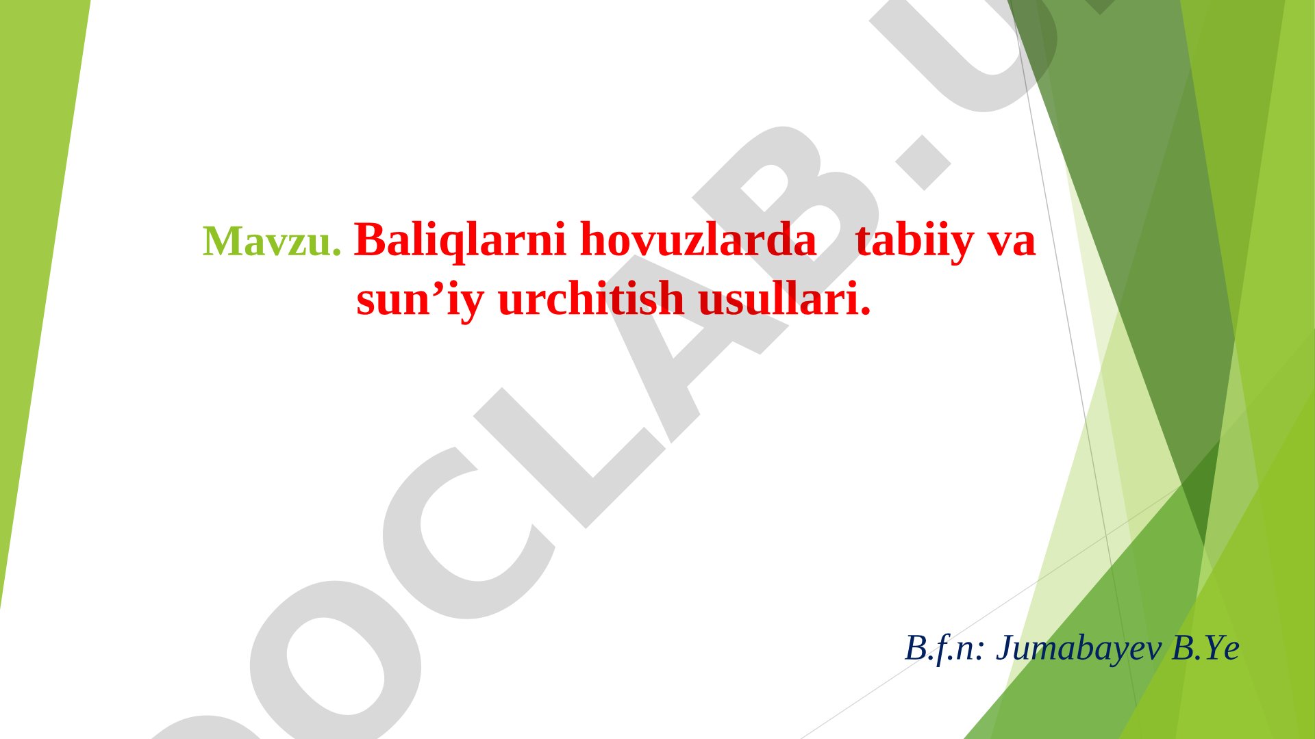 Baliqlarni hovuzlarda tabiiy va sun’iy urchitish usullari