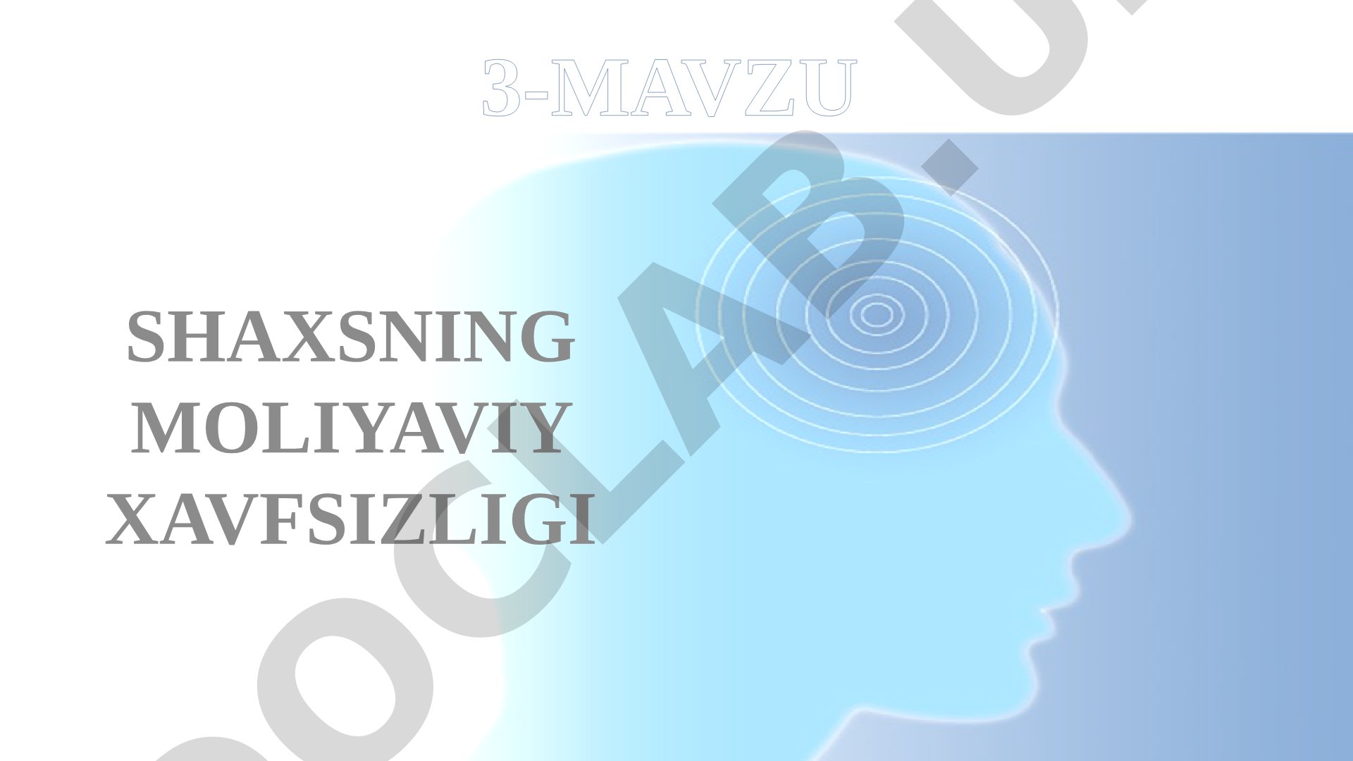 Shaxsning moliyaviy xavfsizligi tushunchasi, omillar va ta'minlash mexanizmi yoritilgan