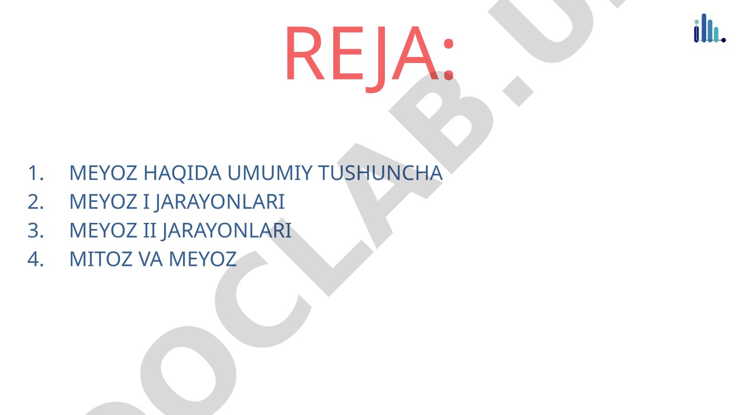 Meyoz jarayonlari