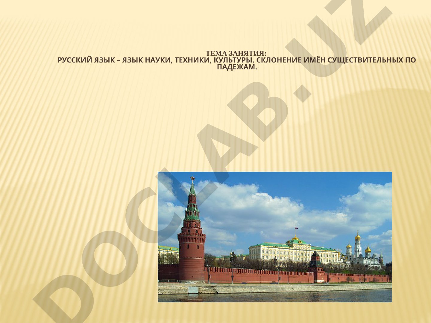 Русский язык – язык науки, техники, культуры. Склонение имён существительных по падежам.