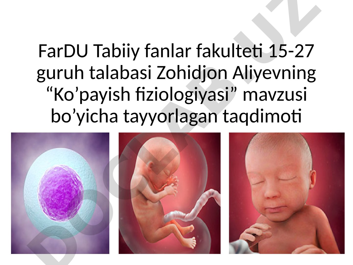 Jinsiy organlar tuzilishi, otalanish, embrion rivojlanishi va homilaga salbiy ta'sir
