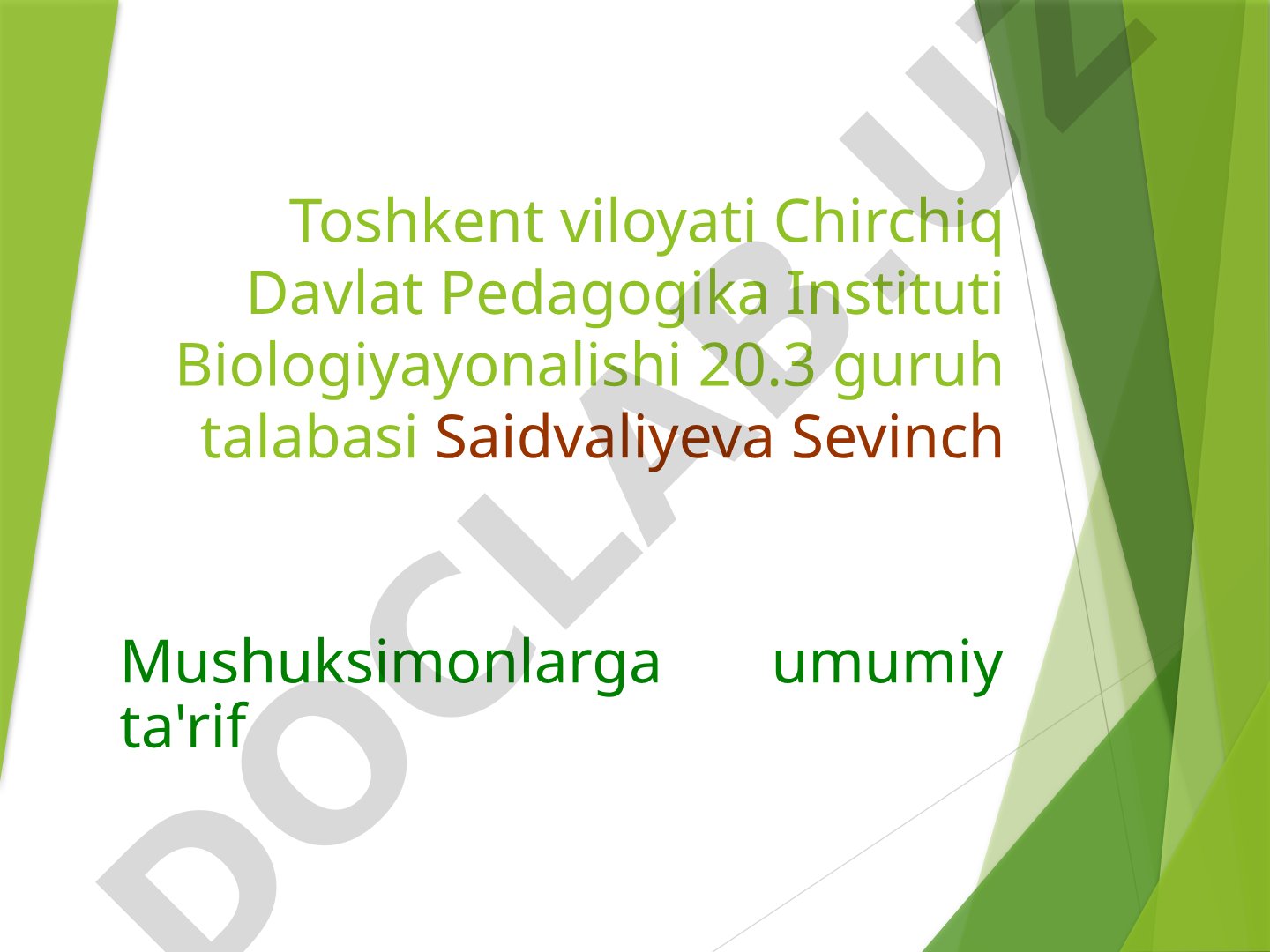 Mavzularsiz slaydlar
