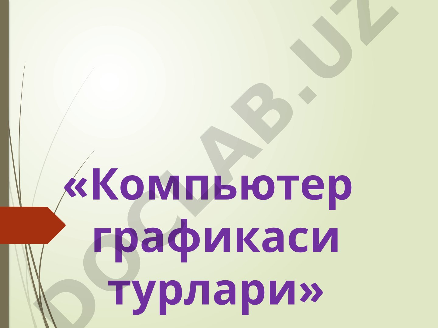Компьютер графикаси турлари