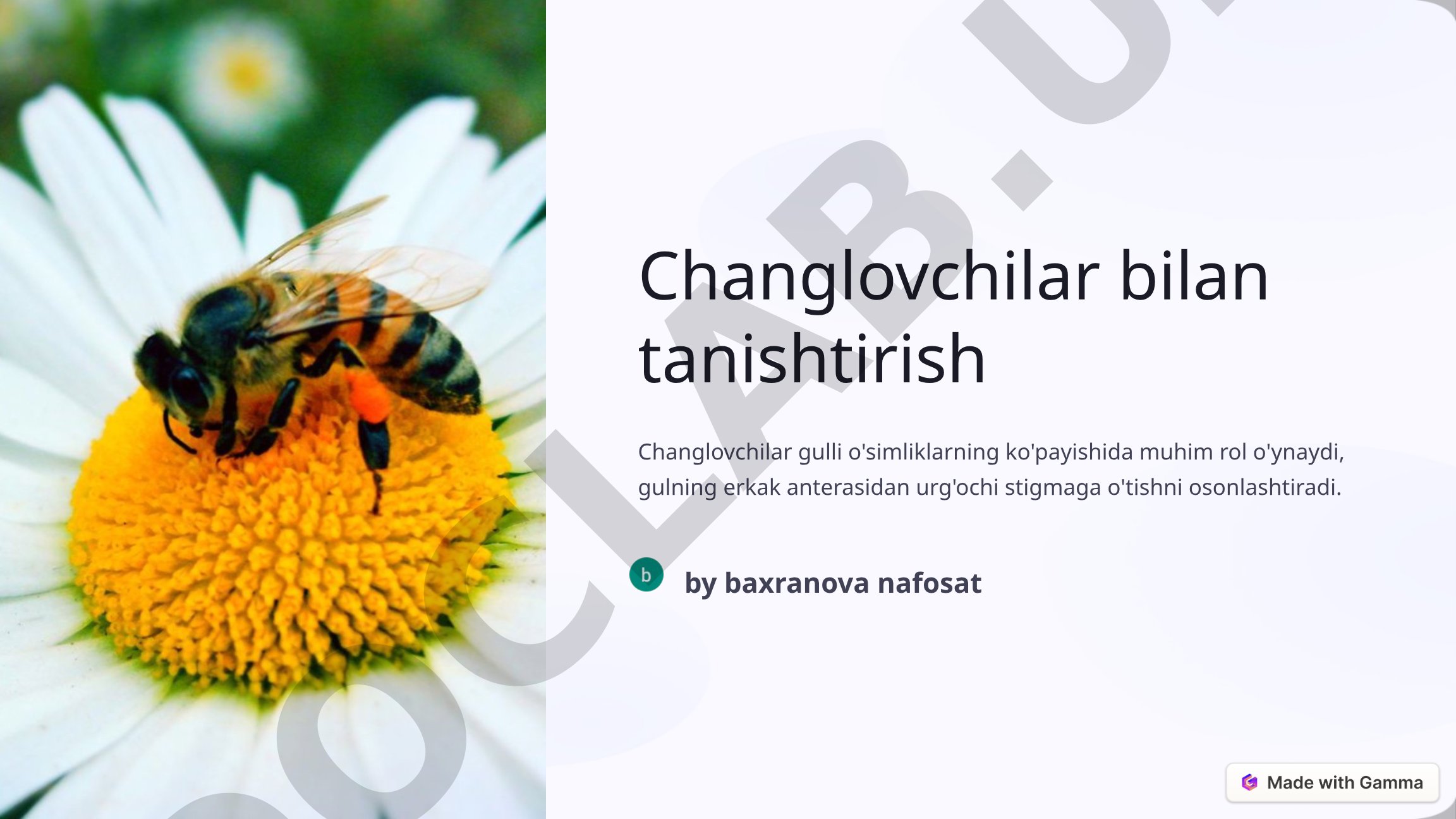 Changlatuvechilar bilan tanishtirish