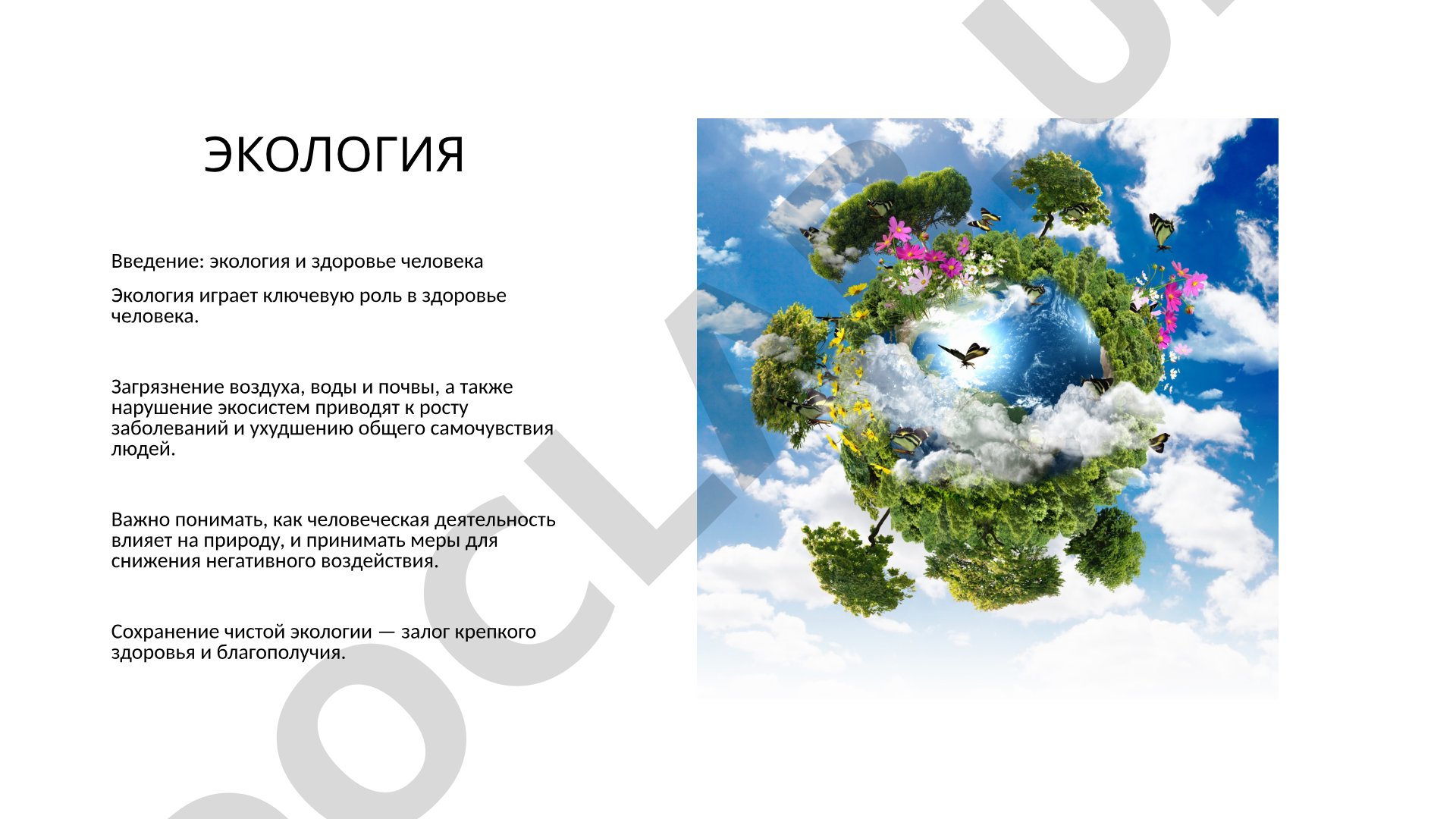 Экология и здоровье человека