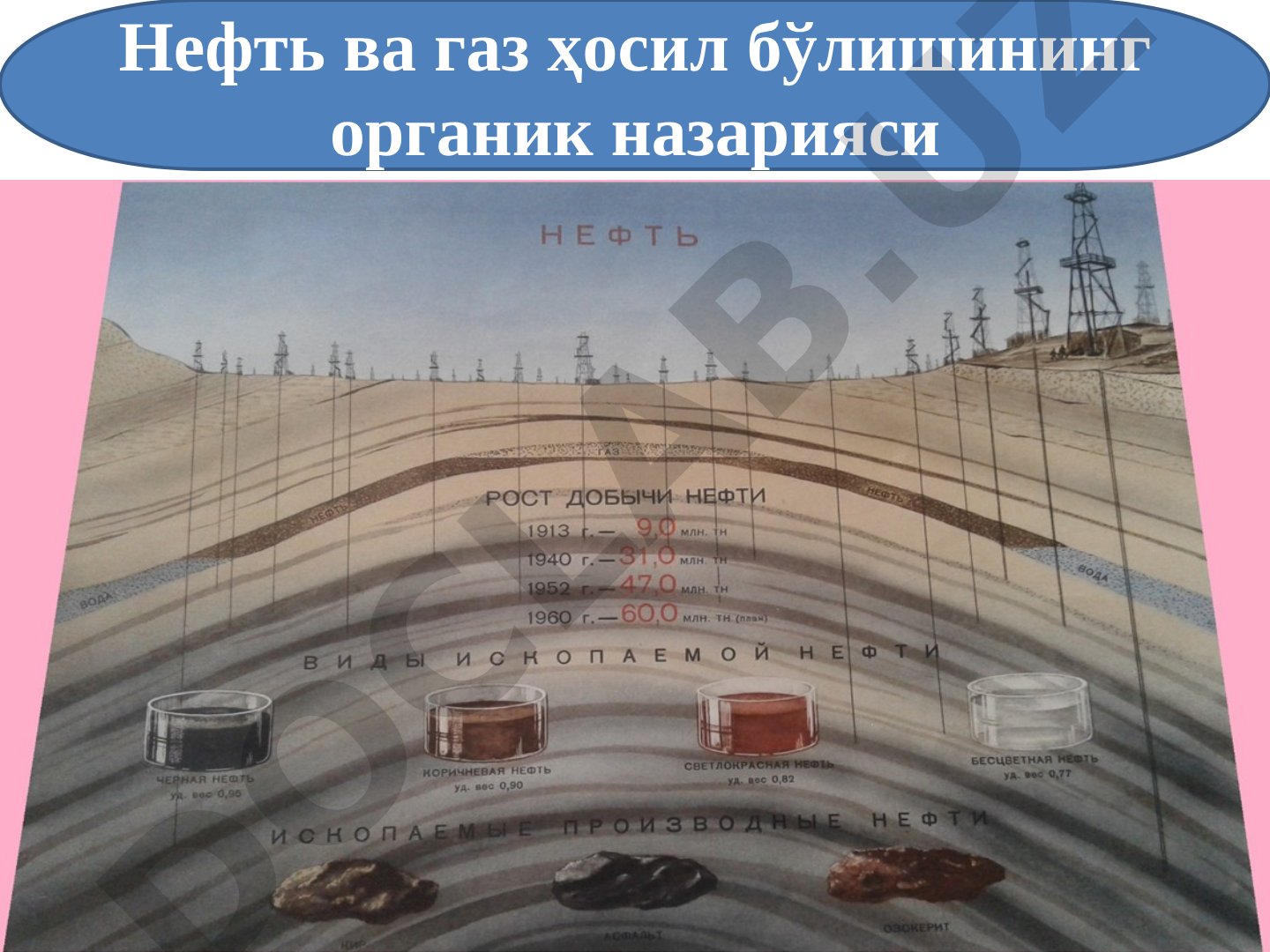 Нефть ва газ ҳосил бўлишининг органик назарияси