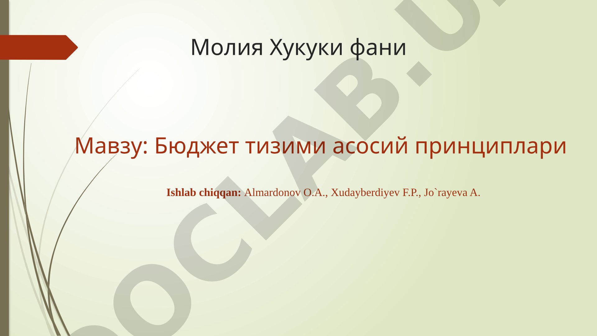 Бюджет тизими асосий принциплари