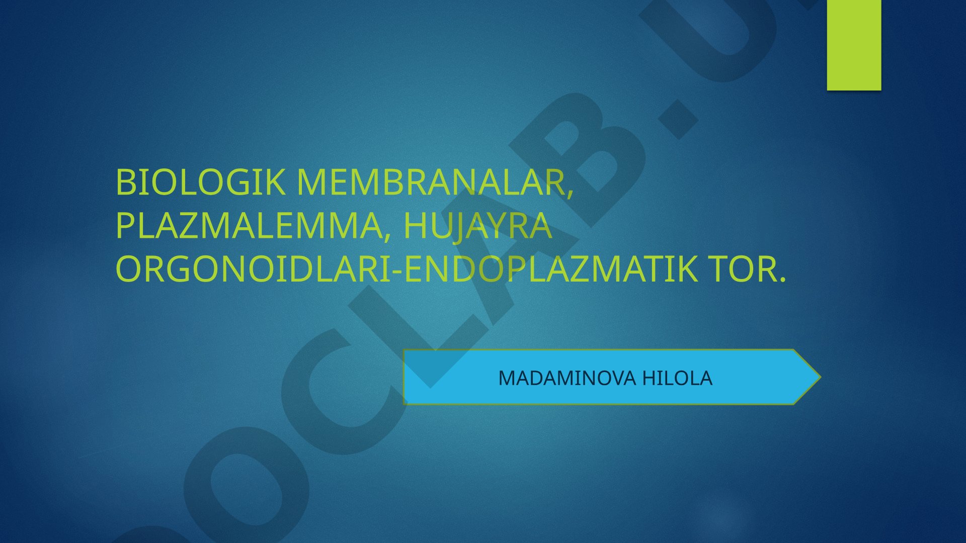 Biologik membranalar, plazmalemma, hujayra organoidlari - endoplazmatik tor