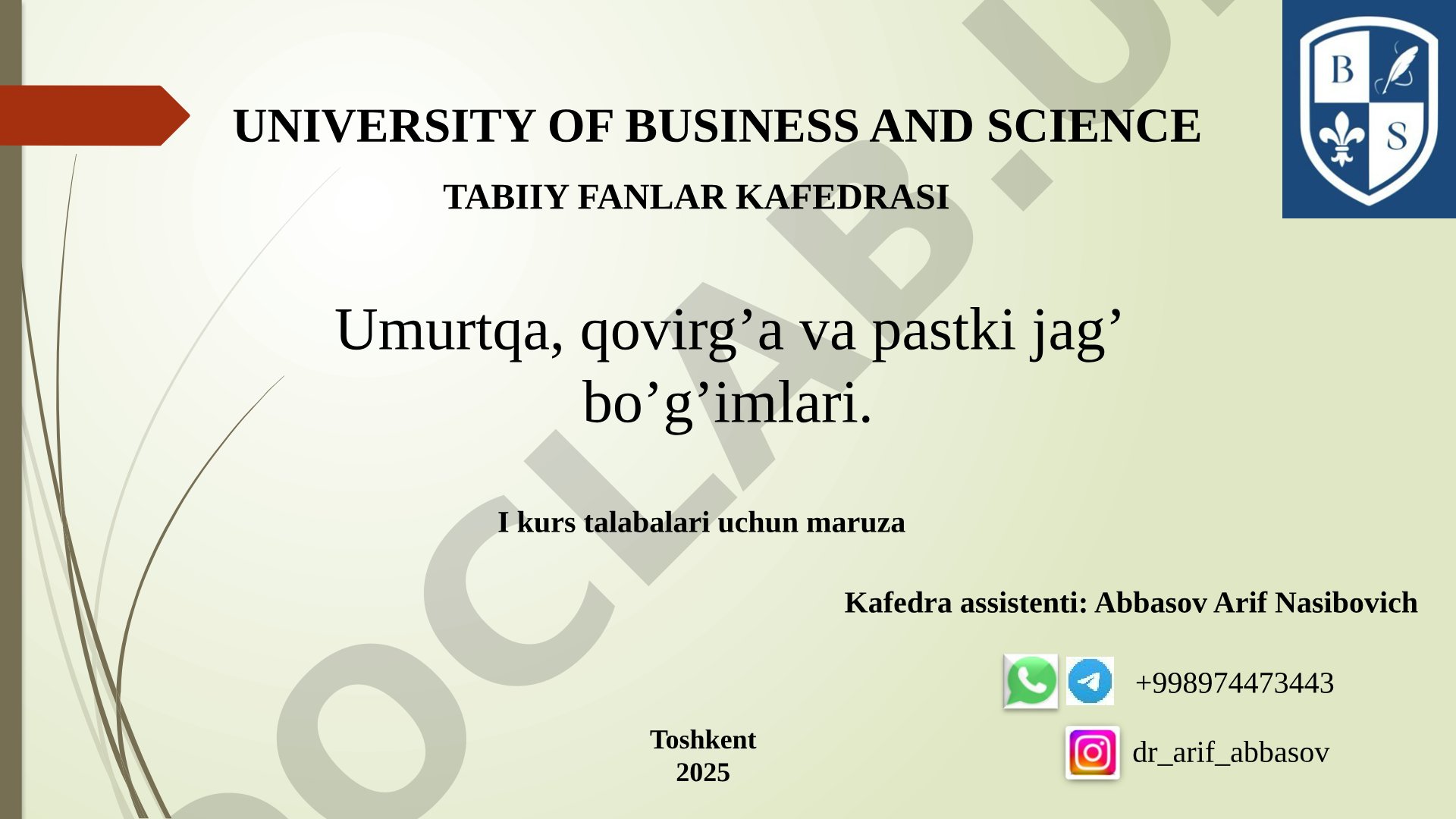 Umurtqa, qovirg'a va pastki jag' bo'g'imlari