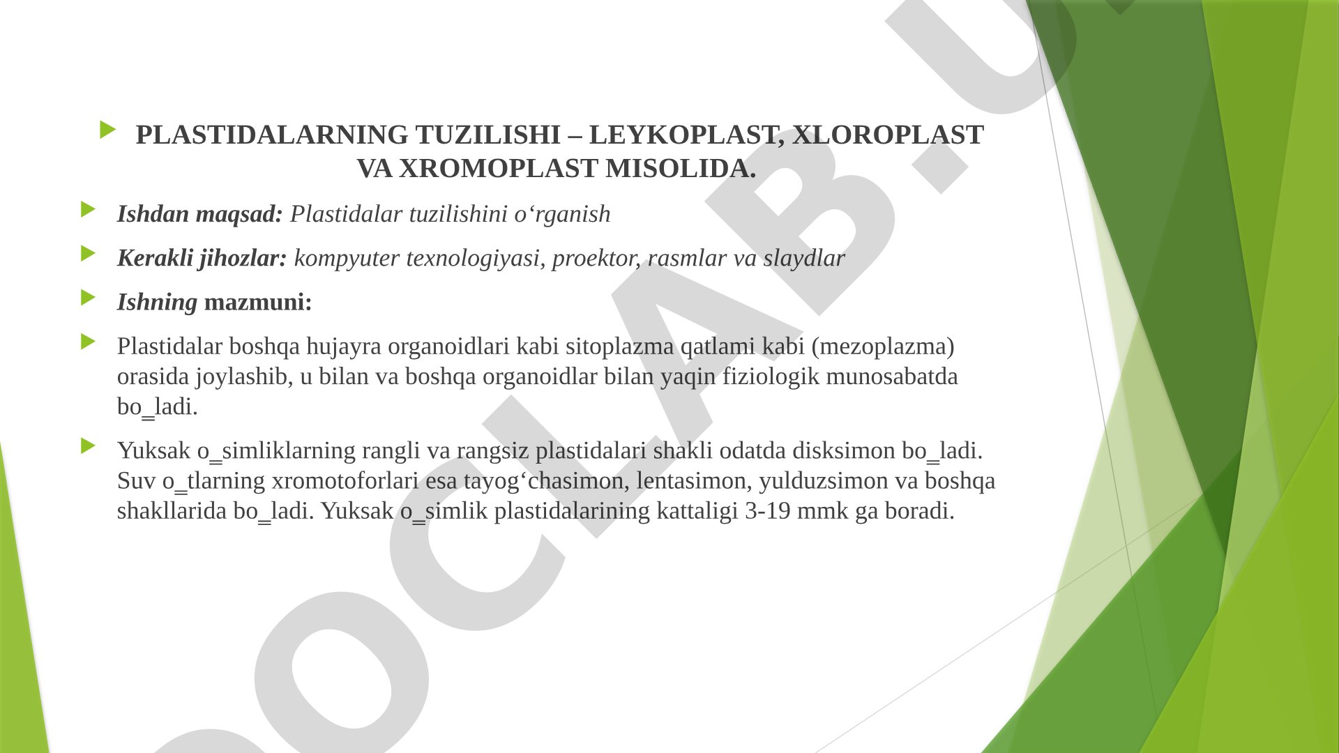 Plastidalarning tuzilishi – leykoplast, xloroplast va xromoplast misolida