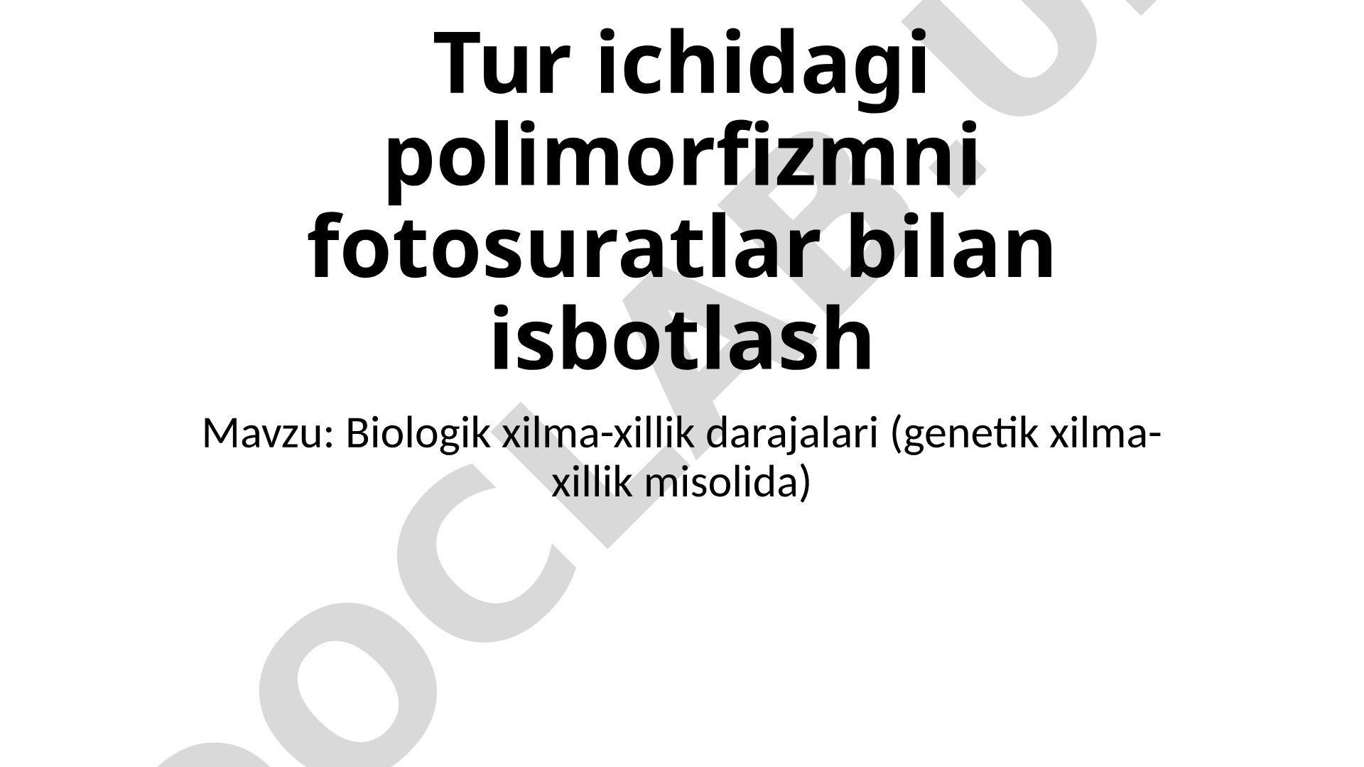 Biologik xilma-xillik darajalari (genetik xilma-xillik misolida)
