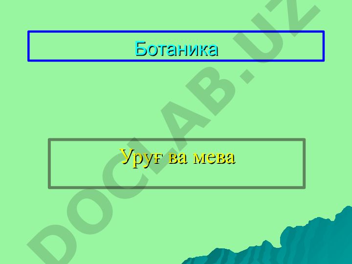 Ботаника Уруғ ва мева Асосий саволлар