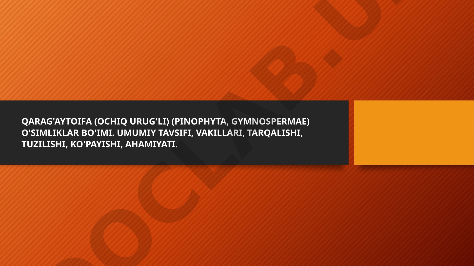 Qarag'aytoifa (ochiq urug'li) o'simliklar bo'limi