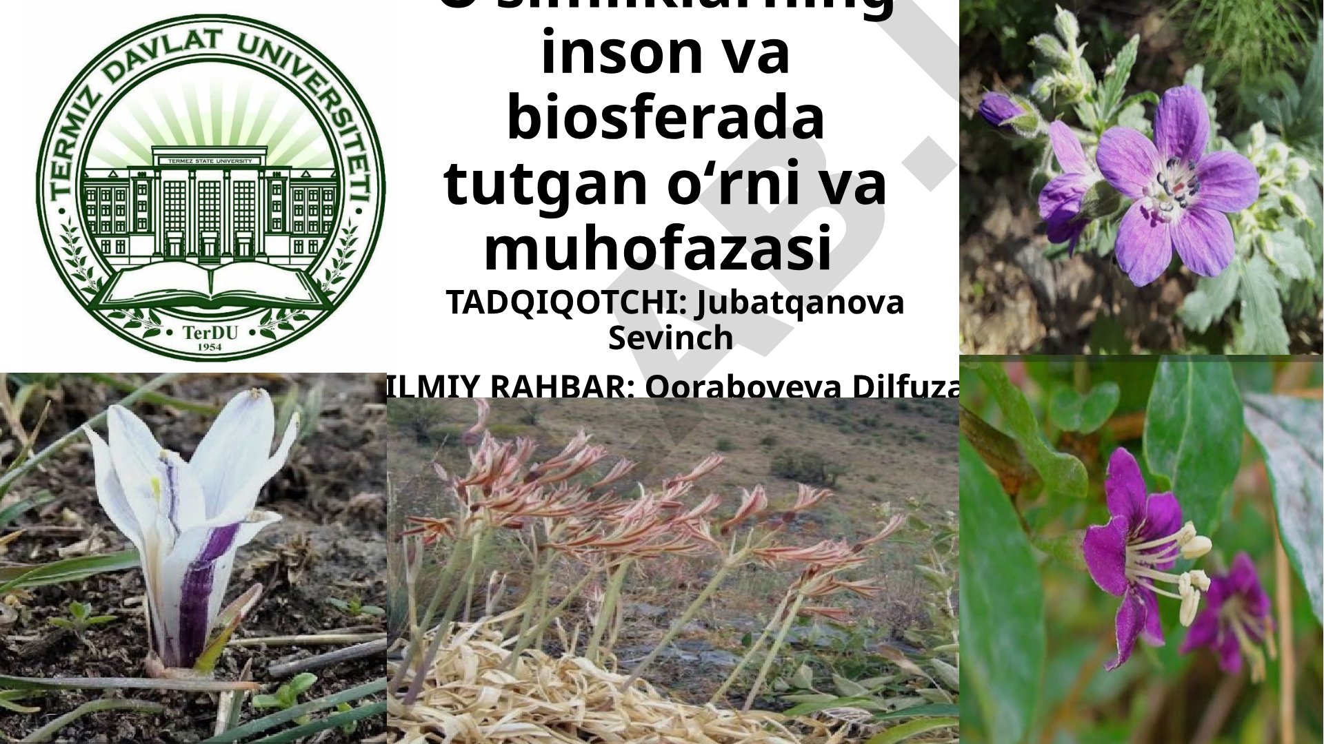 Oʻsimliklarning inson va biosferada tutgan oʻrni va muhofazasi