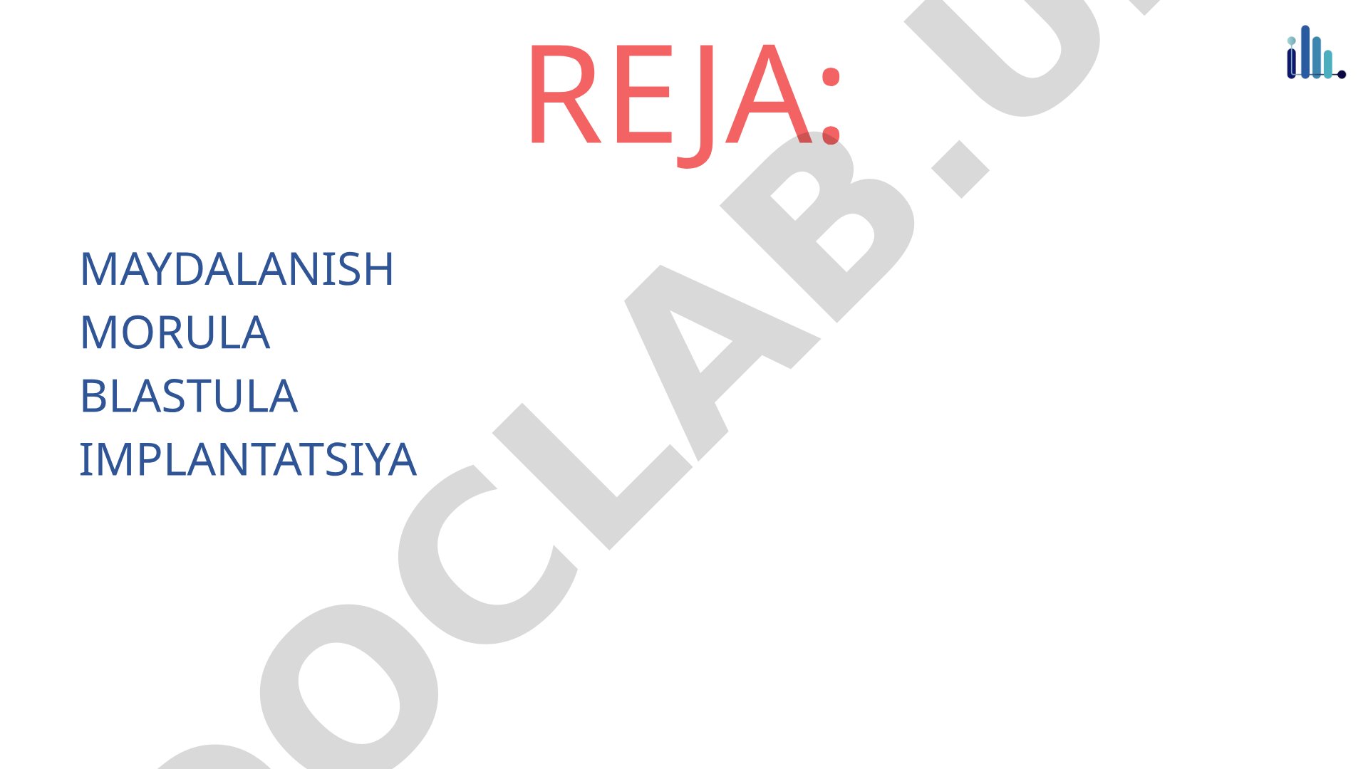 Erta embrional rivojlanish: maydalanish, blastula va implantatsiya