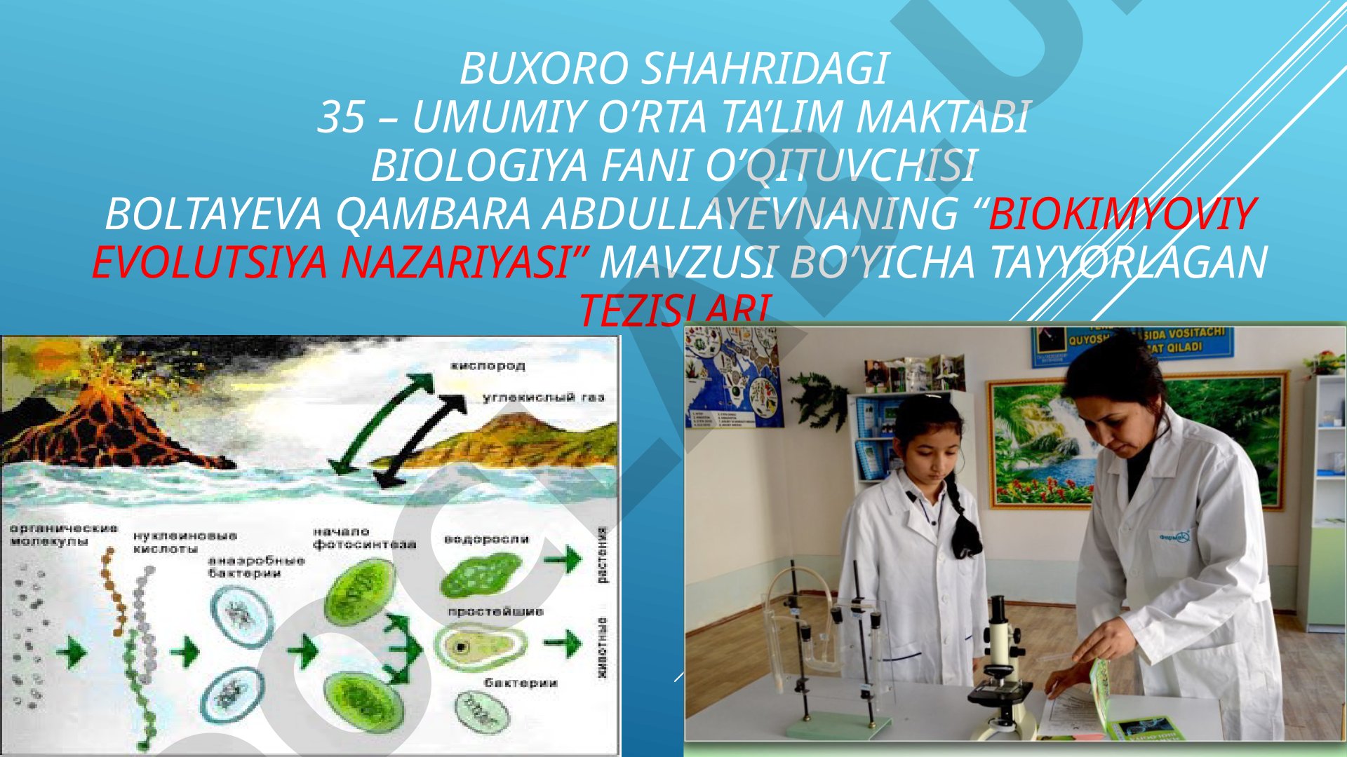 Biokimyoviy evolutsiya nazariyasi