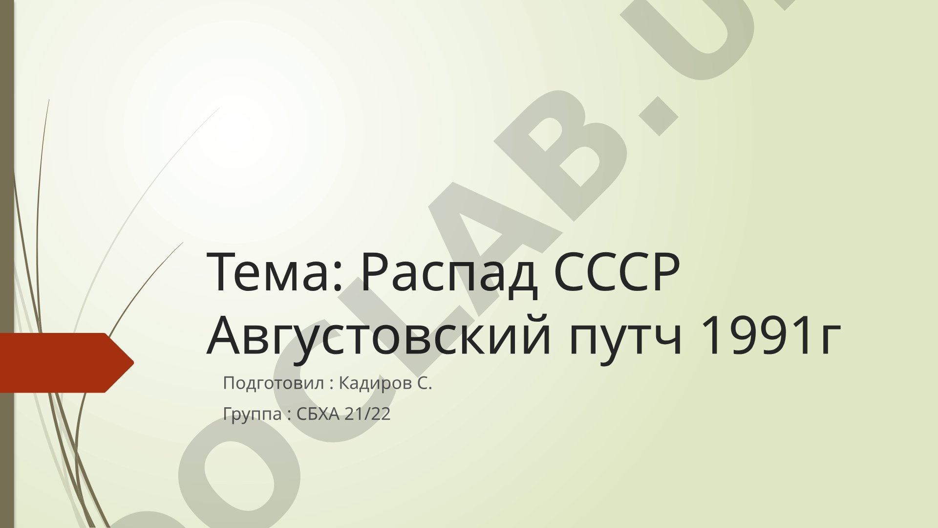 Распад СССР Августовский путч 1991г