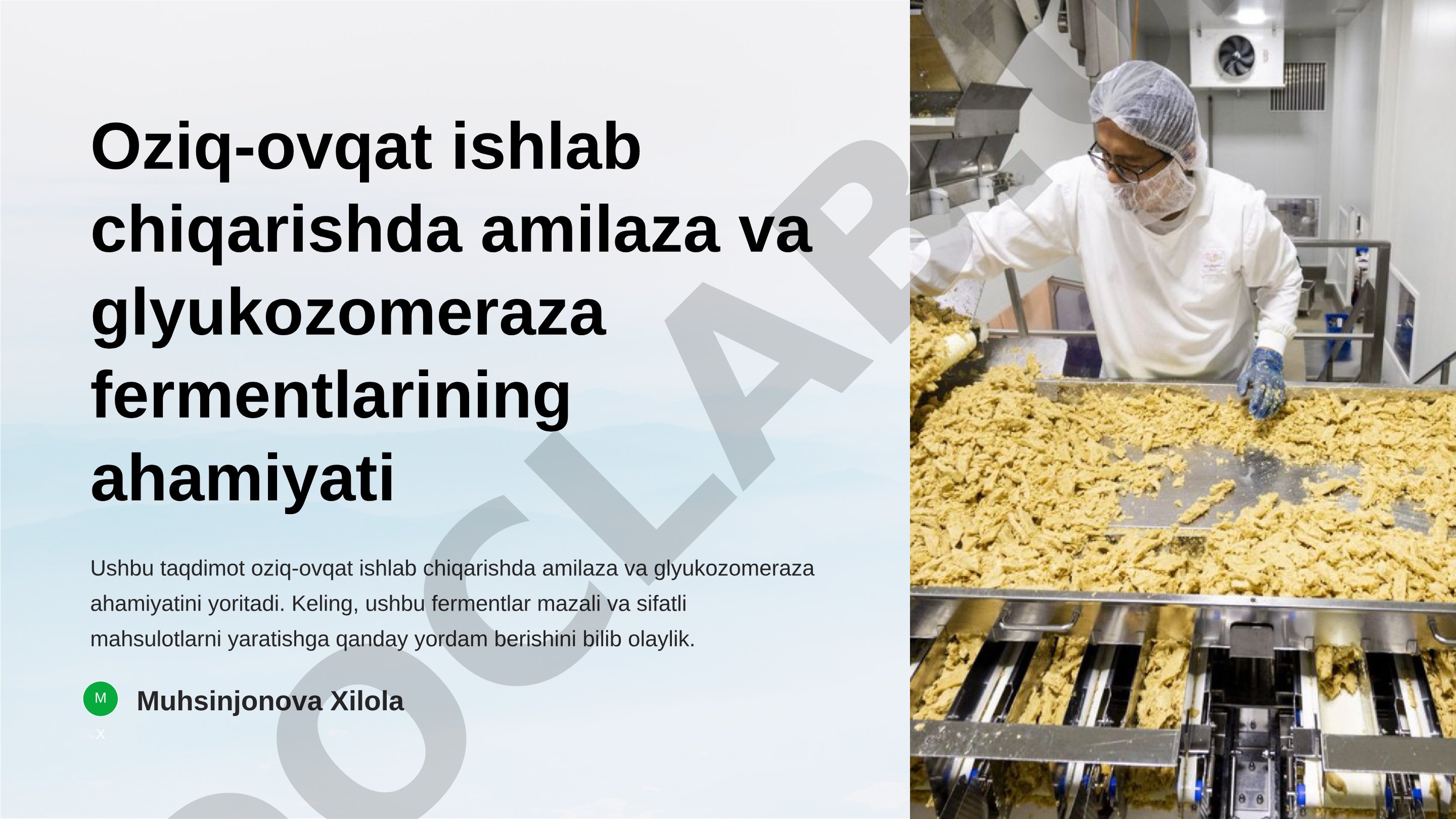 Oziq-ovqat ishlab chiqarishda amilaza va glyukozomeraza fermentlarining ahamiyati