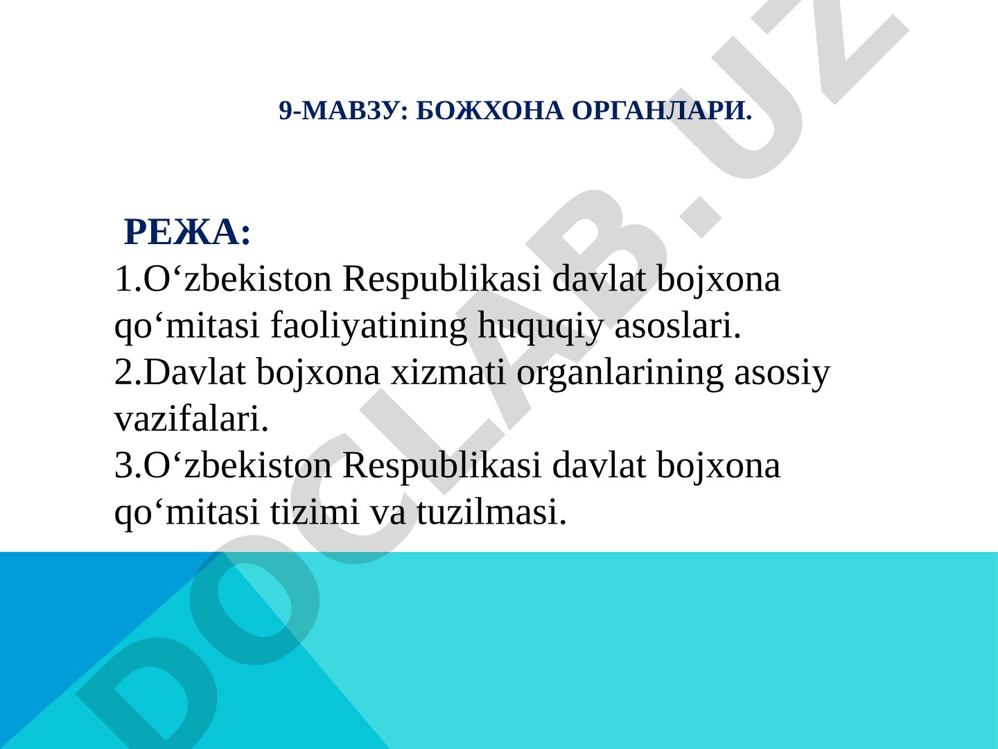 Божхона органлари
