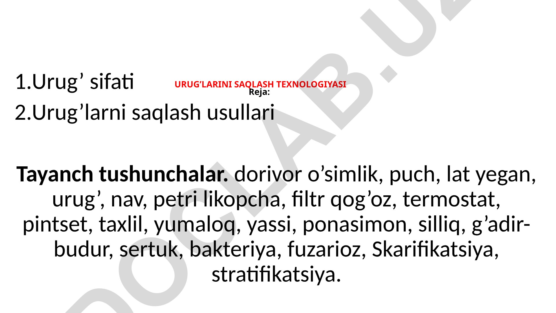 Urug’larni saqlash texnologiyasi