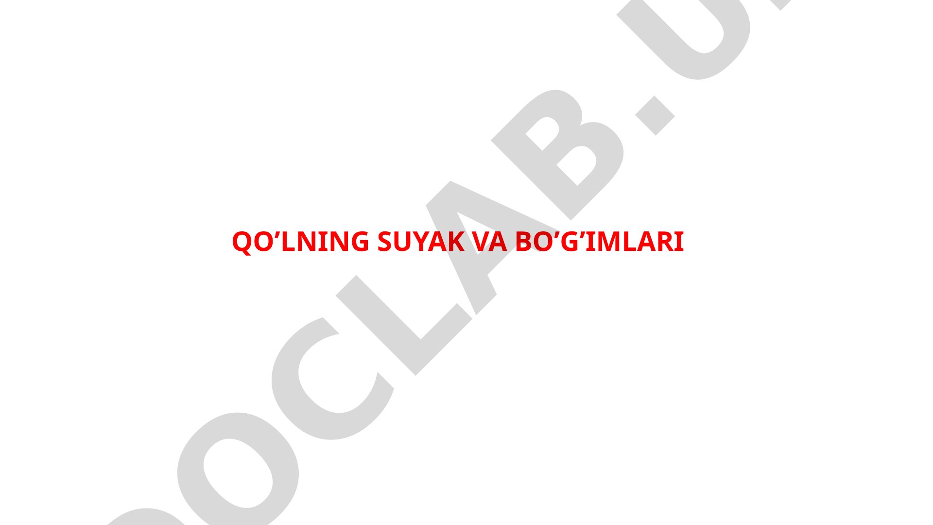 Qo’lning suyak va bo’g’imlari