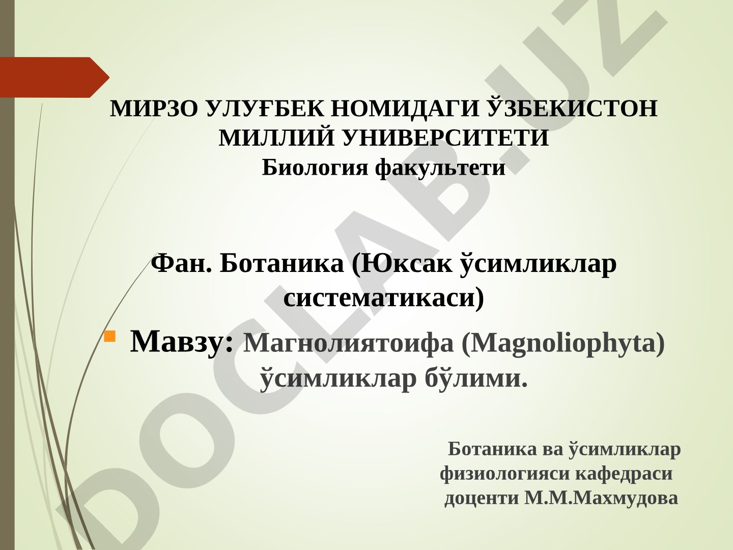 Магнолиятоифа (Magnoliophyta) ўсимликлар бўлими