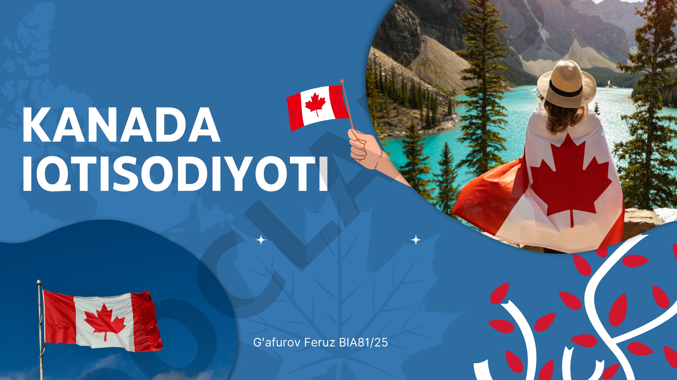 Kanada iqtisodiyoti haqida umumiy ma'lumot