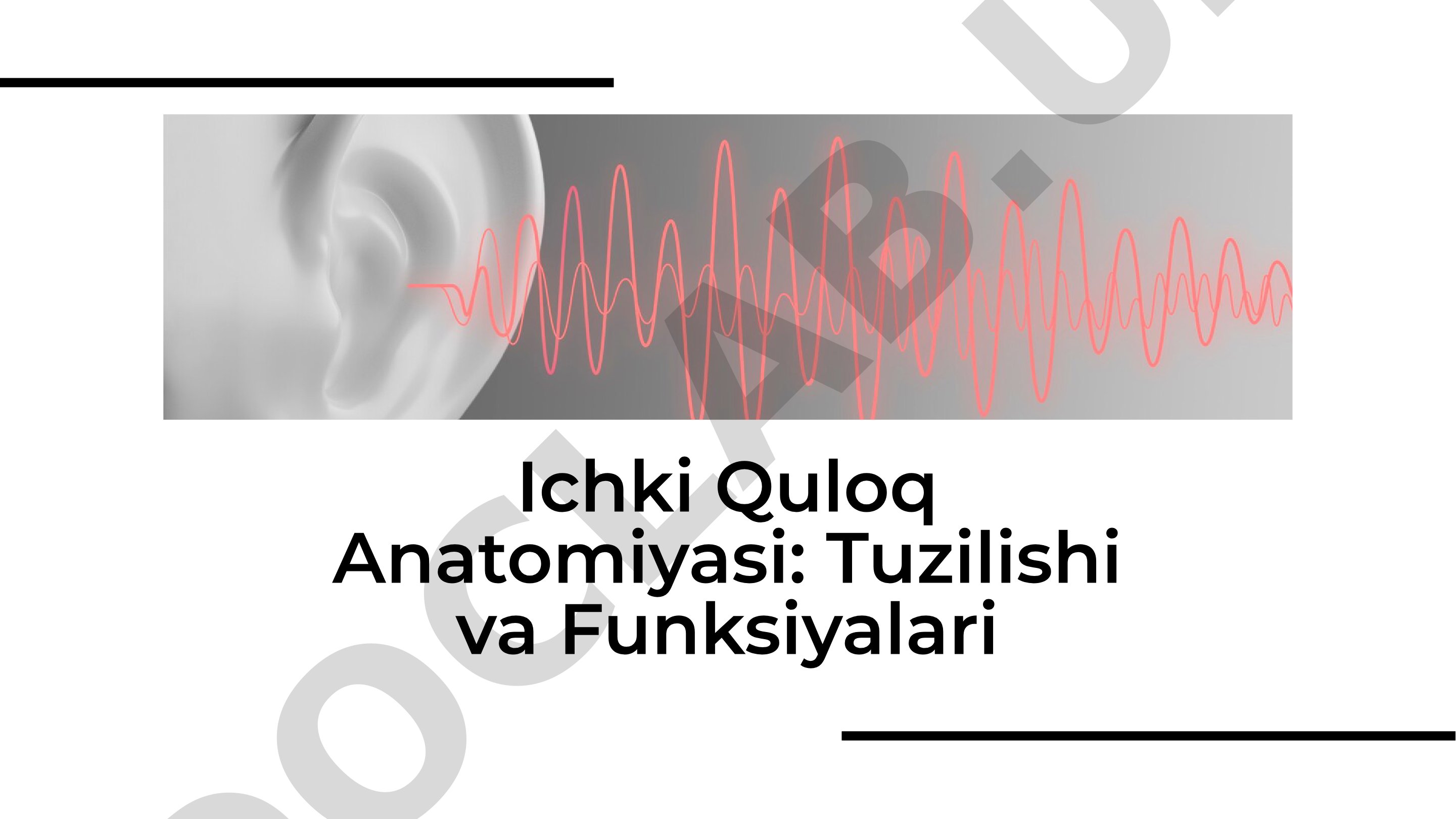 Ichki Quloq Anatomiyasi: Tuzilishi va Funksiyalari