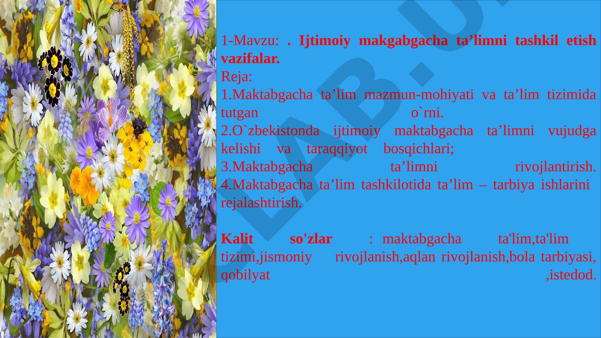 Ijtimoiy maktabgacha ta'limni tashkil etish vazifalar