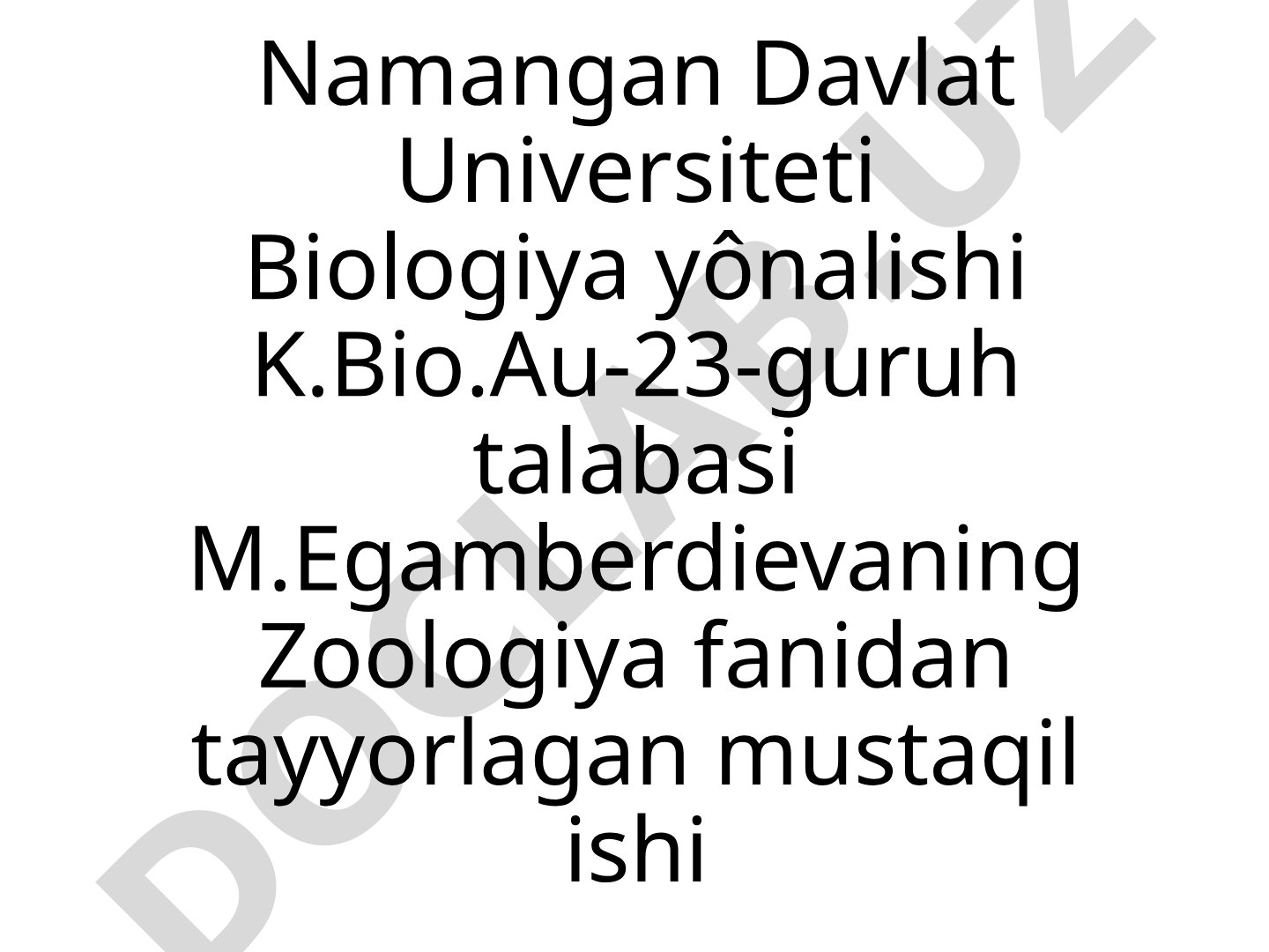 Qoramol tasmasimon chuvalchangi
