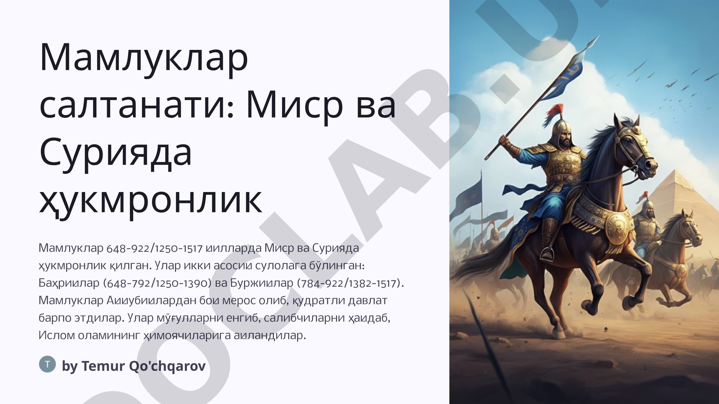 Мамлуклар салтанати: Миср ва Сурияда ҳукмронлик