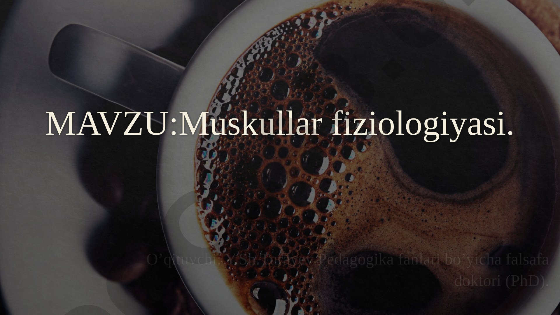 Skelet muskullarining tuzilishi, funksiyalari, qisqarish mexanizmi va charchash haqida