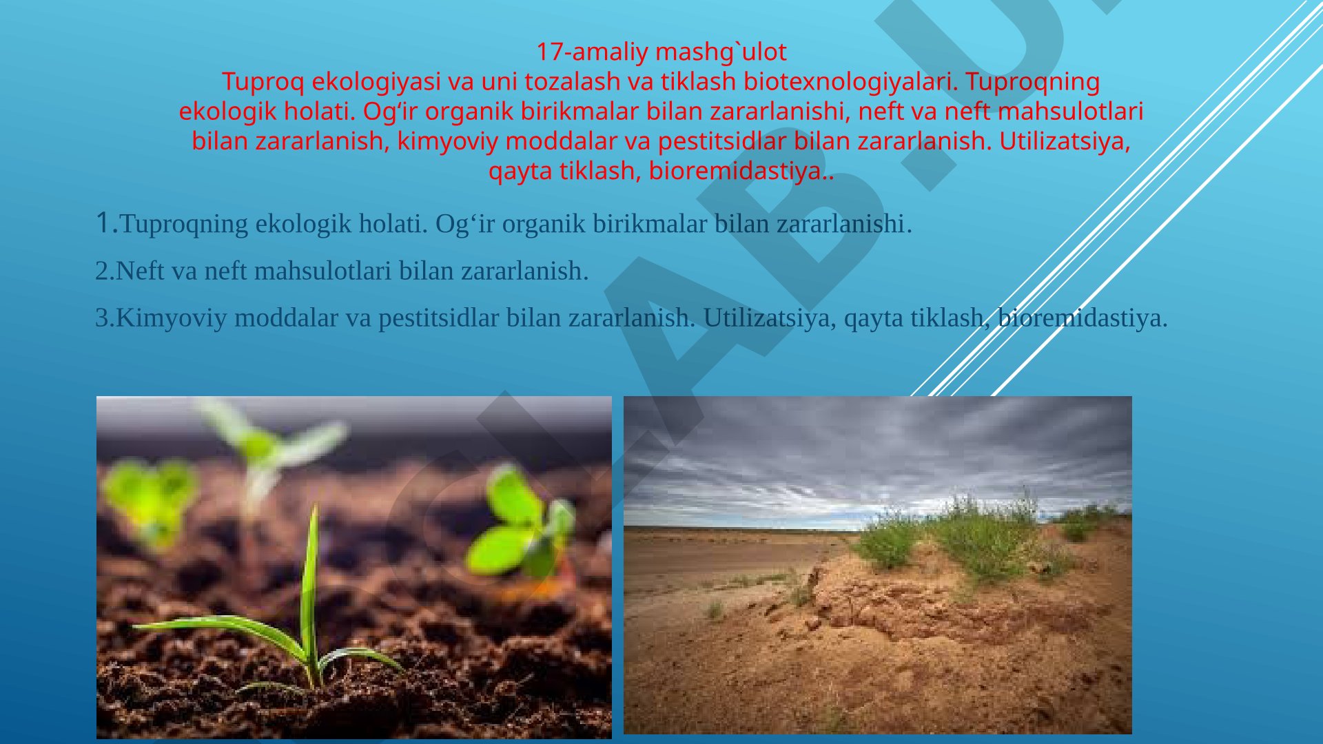 Tuproq ekologiyasi va uni tozalash va tiklash biotexnologiyalari