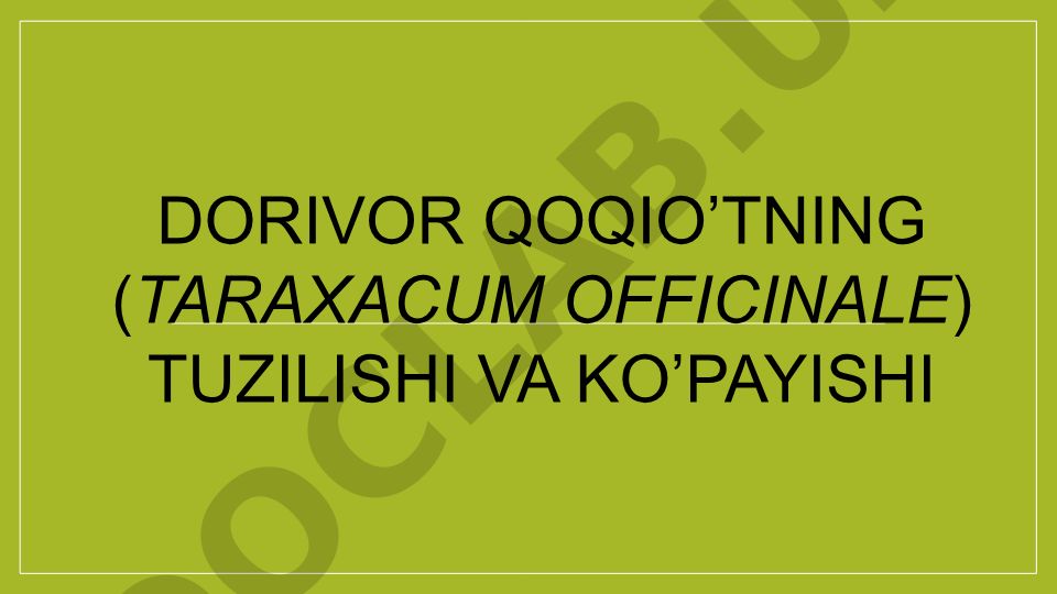 Dorivor qoqio'tning tuzilishi va ko'payishi
