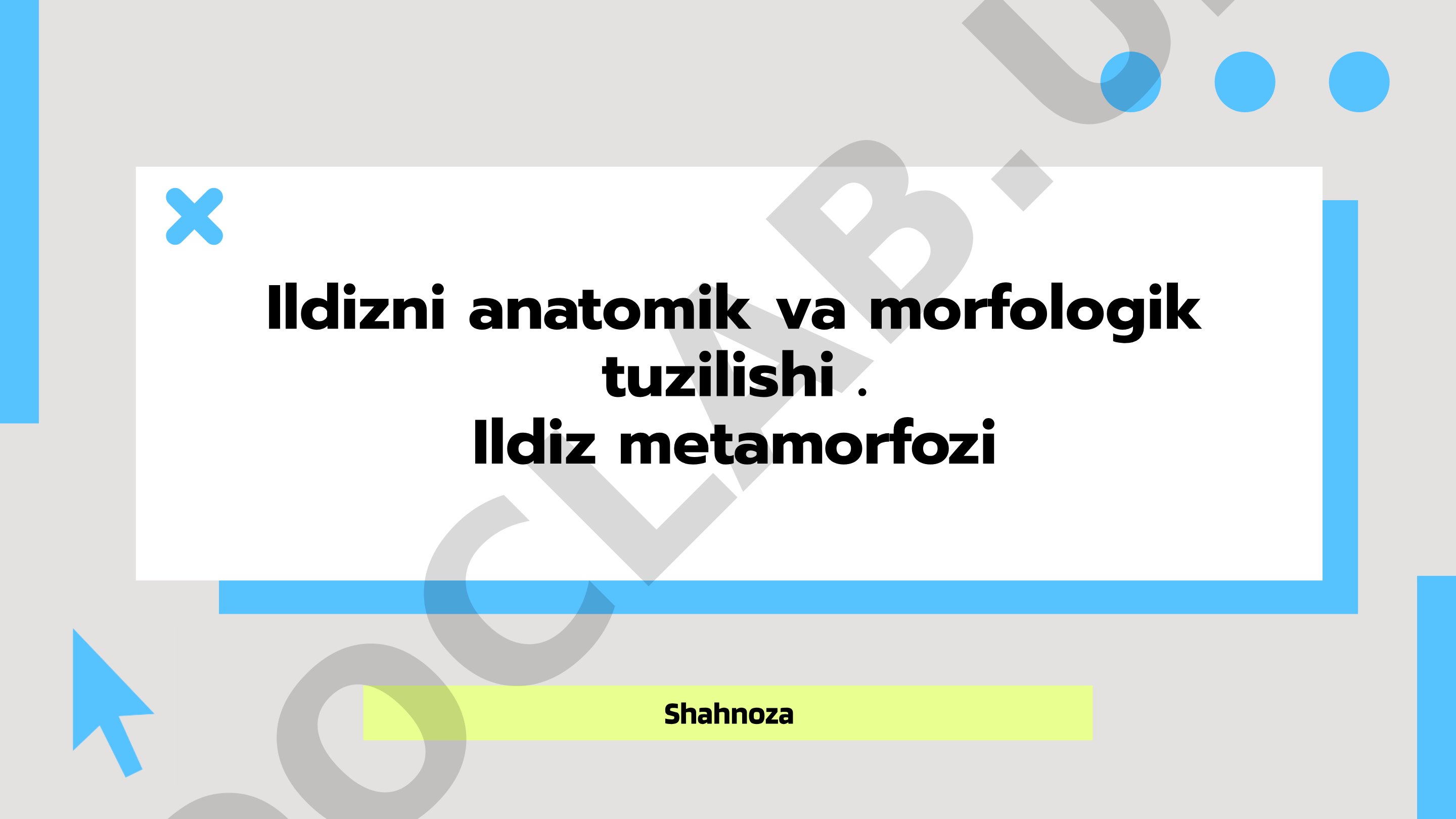 Ildizning anatomik va morfologik tuzilishi