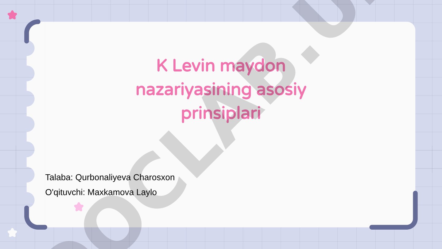 K Levin maydon nazariyasining asosiy prinsiplari