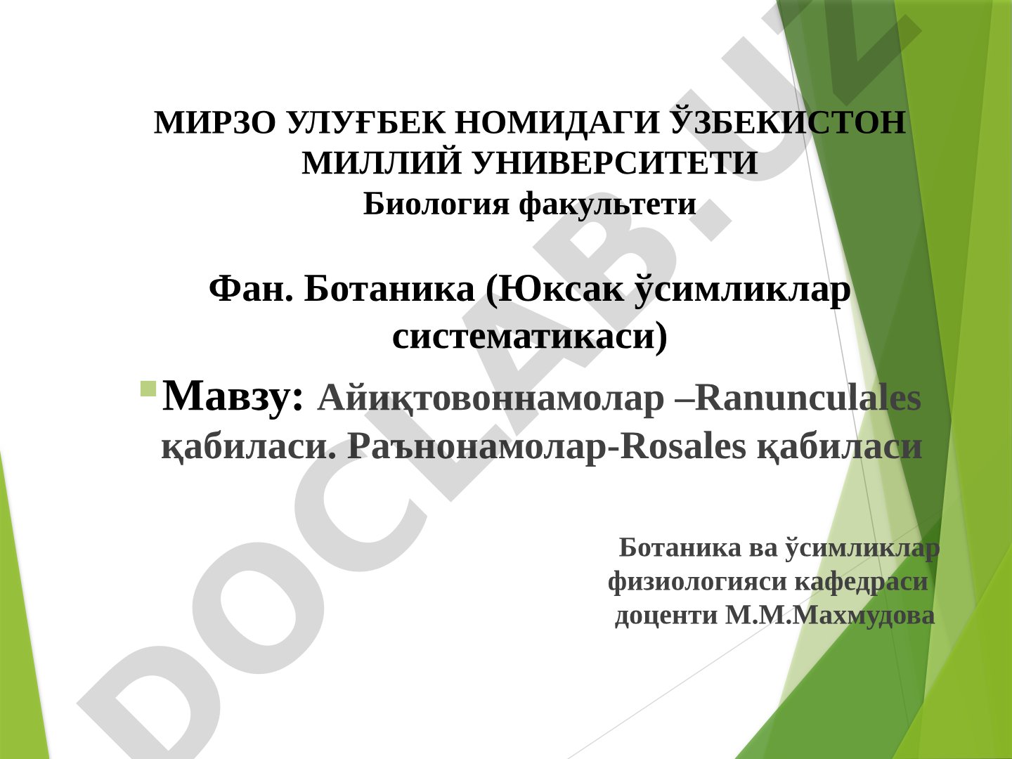 Айиқтовоннамолар –Ranunculales қабиласи. Раънонамолар-Rosales қабиласи