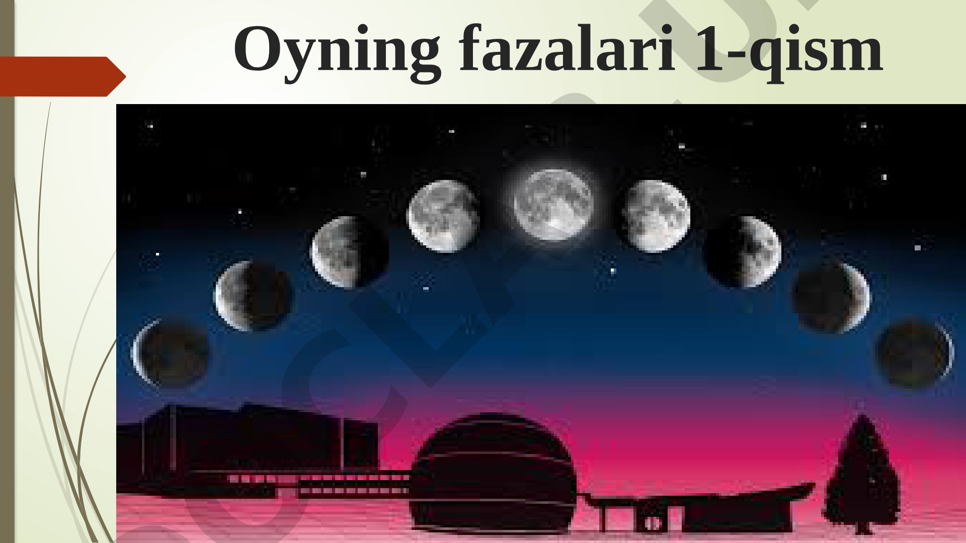Oyning fazalari