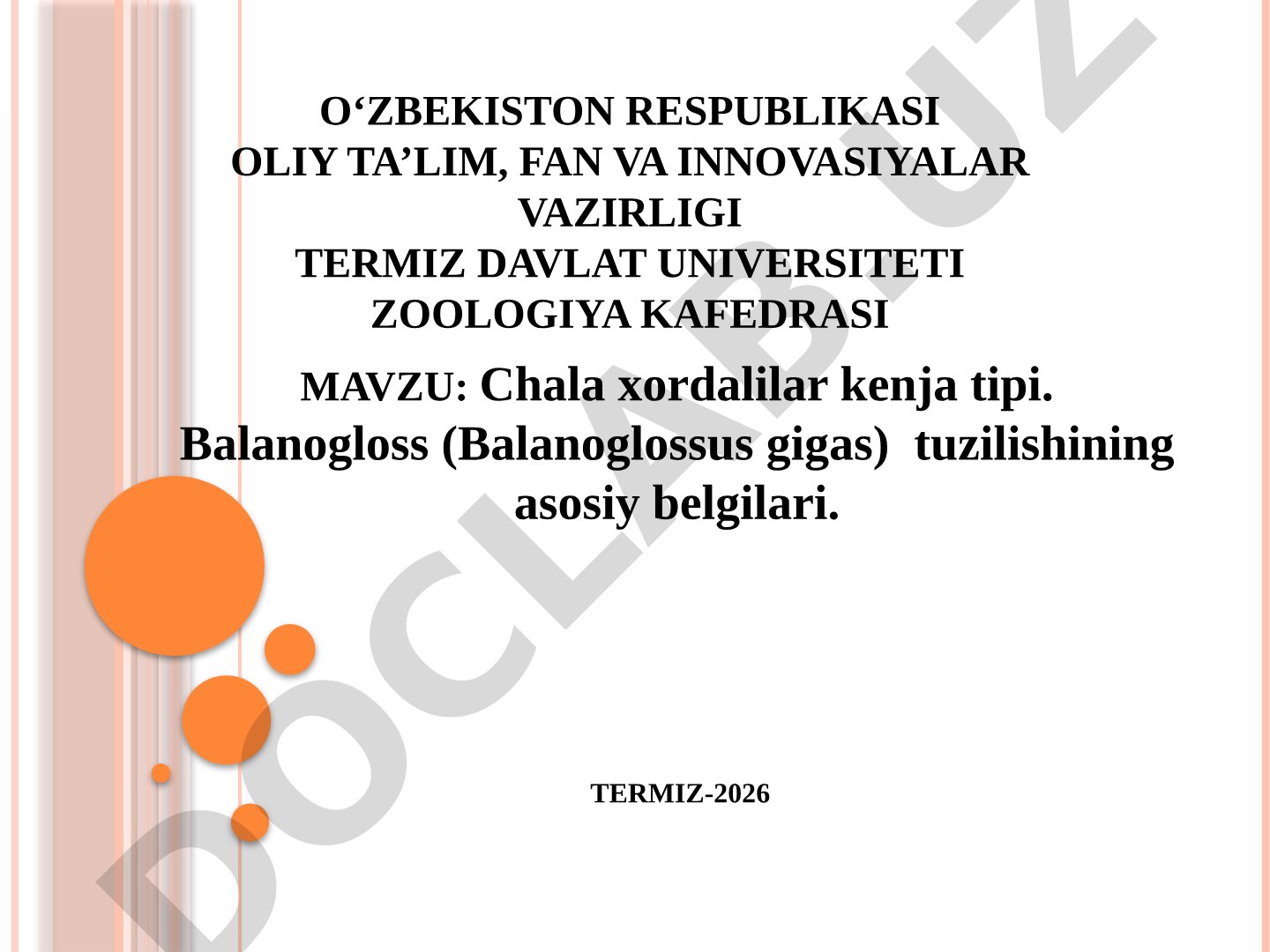 Chala xordalilar kenja tipi. Balanogloss (Balanoglossus gigas) tuzilishining asosiy belgilari