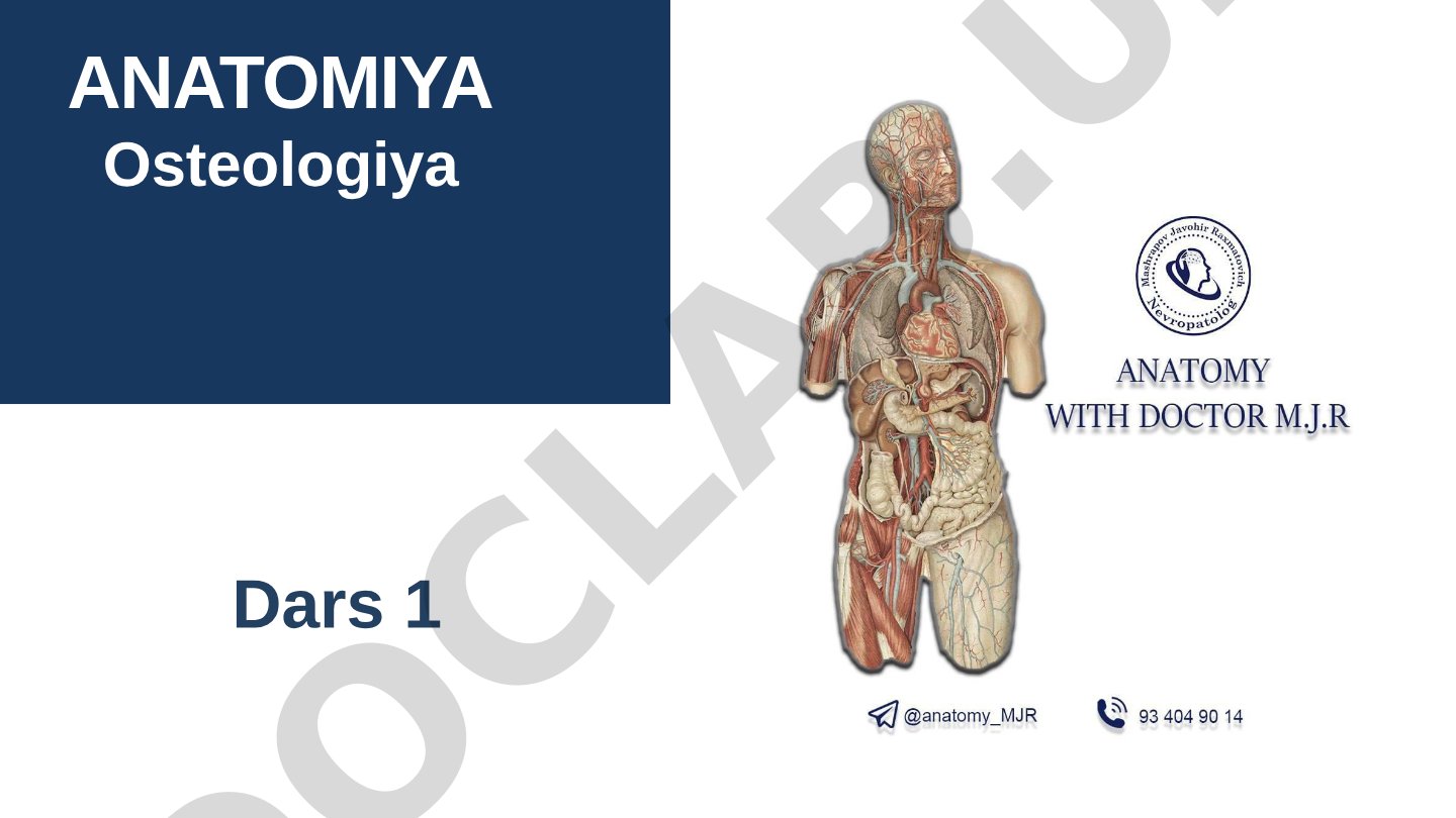 Umurtqa pog'onasi anatomiyasi (Osteologiya)