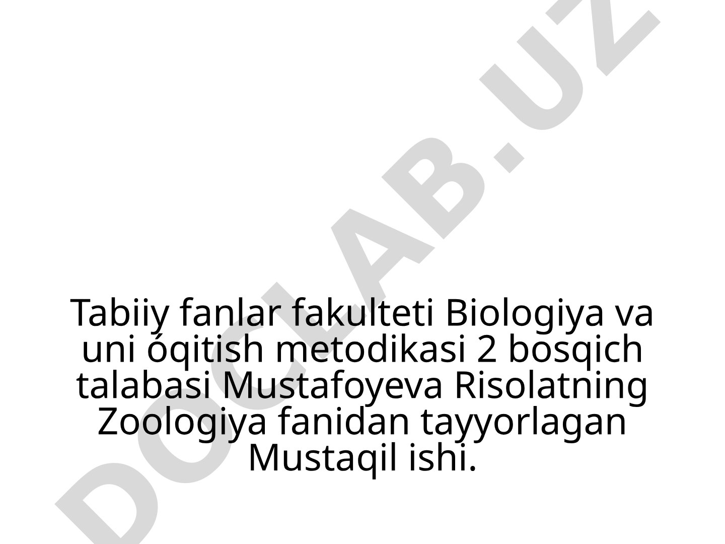 Zoologiya: Tip Xordalilar, Sinf Qushlar turlari
