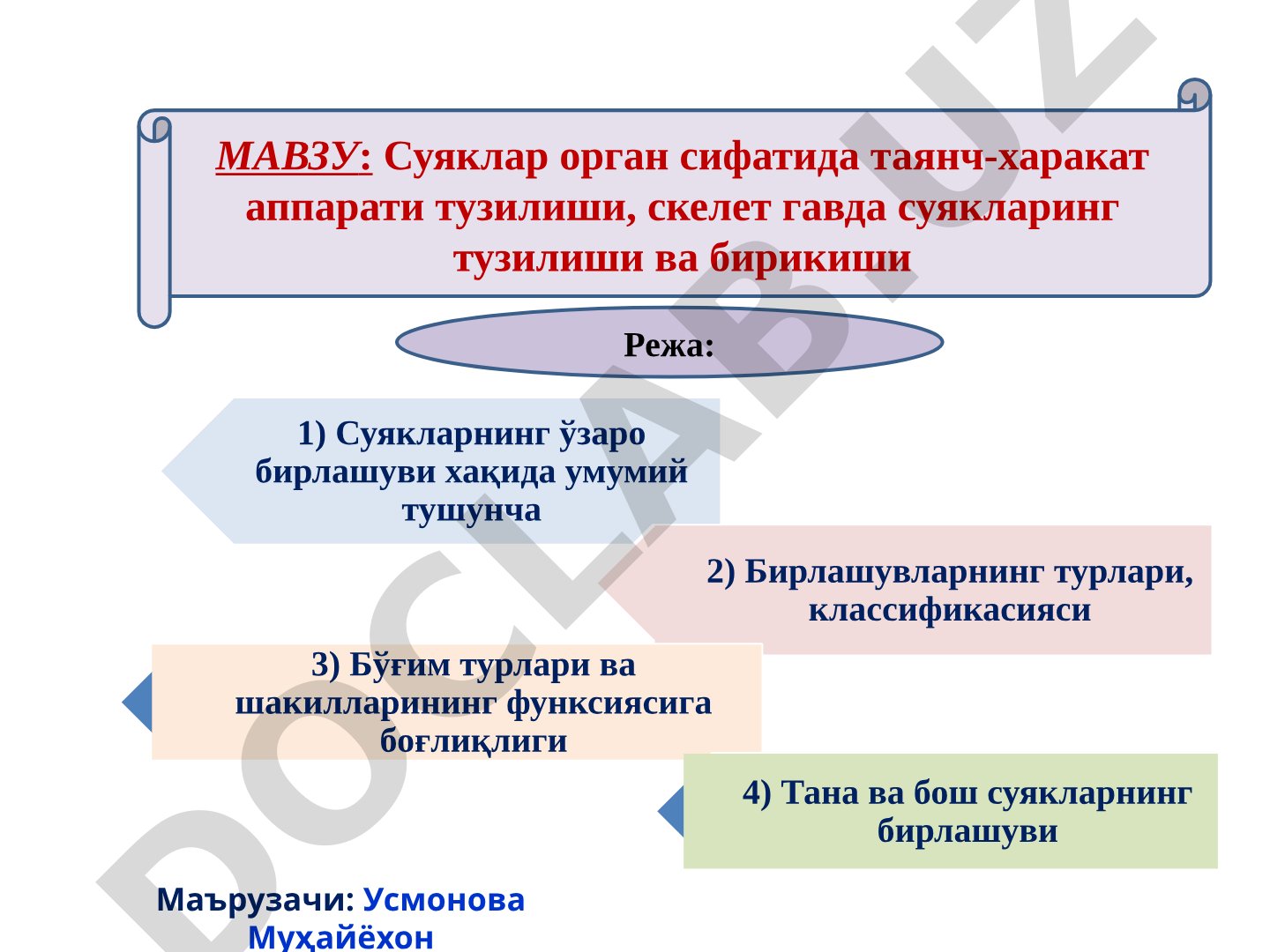 Суяклар орган сифатида таянч-харакат аппарати тузилиши, скелет гавда суякларинг тузилиши ва бирикиши
