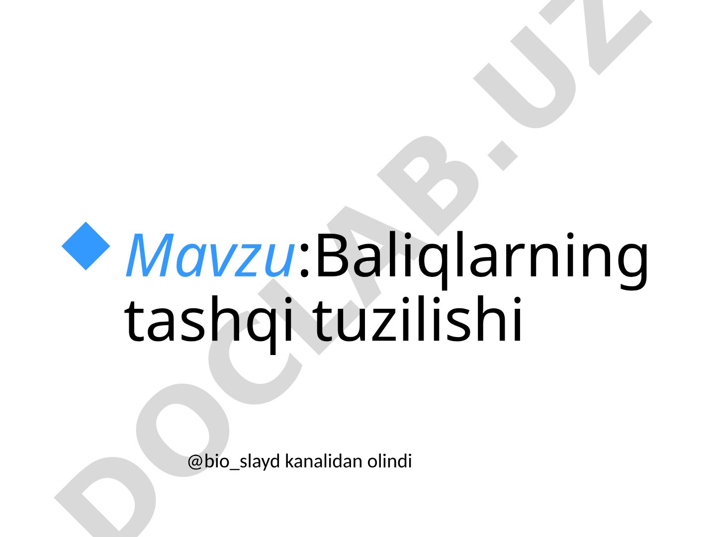 Baliqlarning tashqi tuzilishi