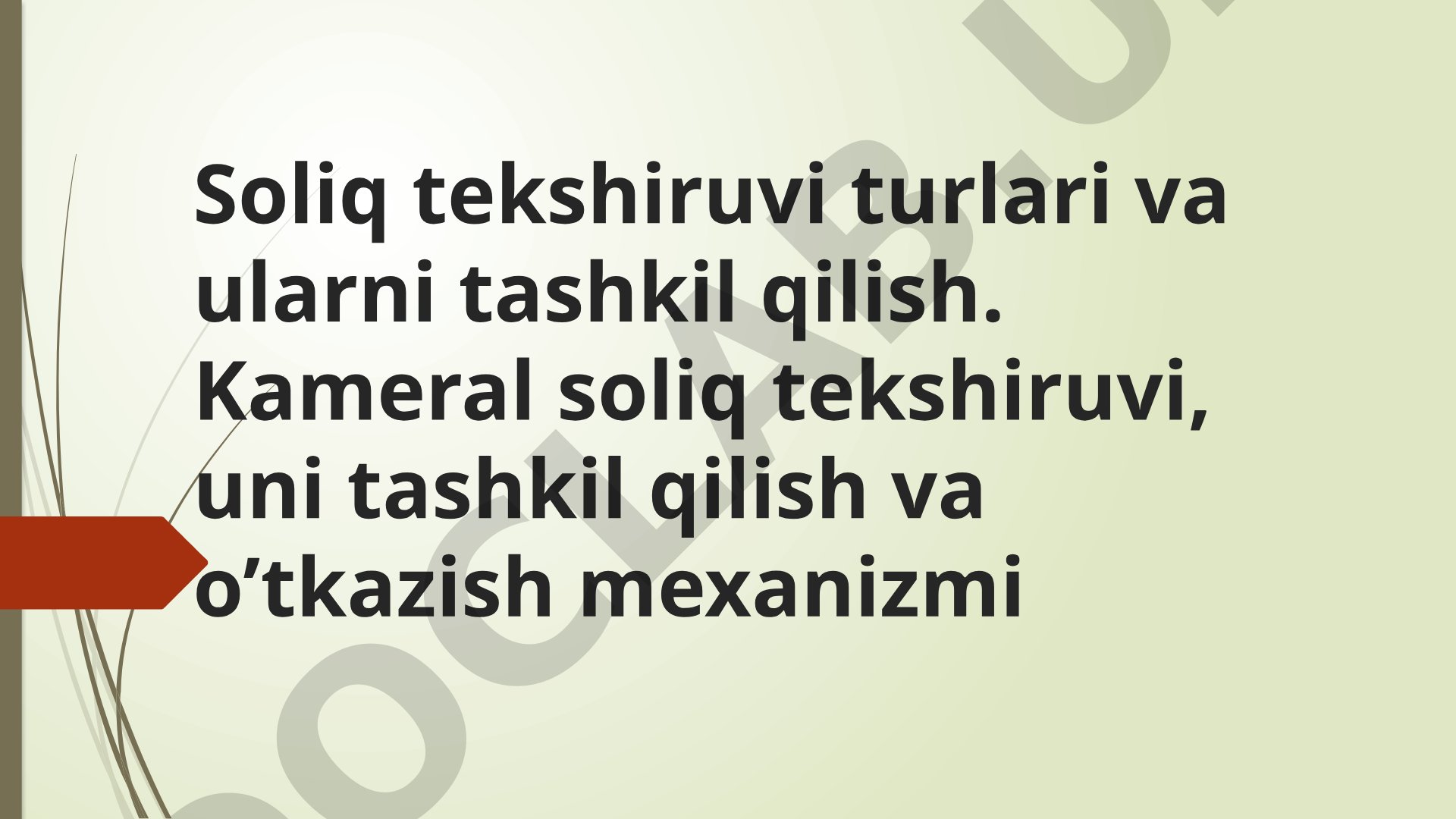 Soliq tekshiruvi turlari va ularni tashkil qilish