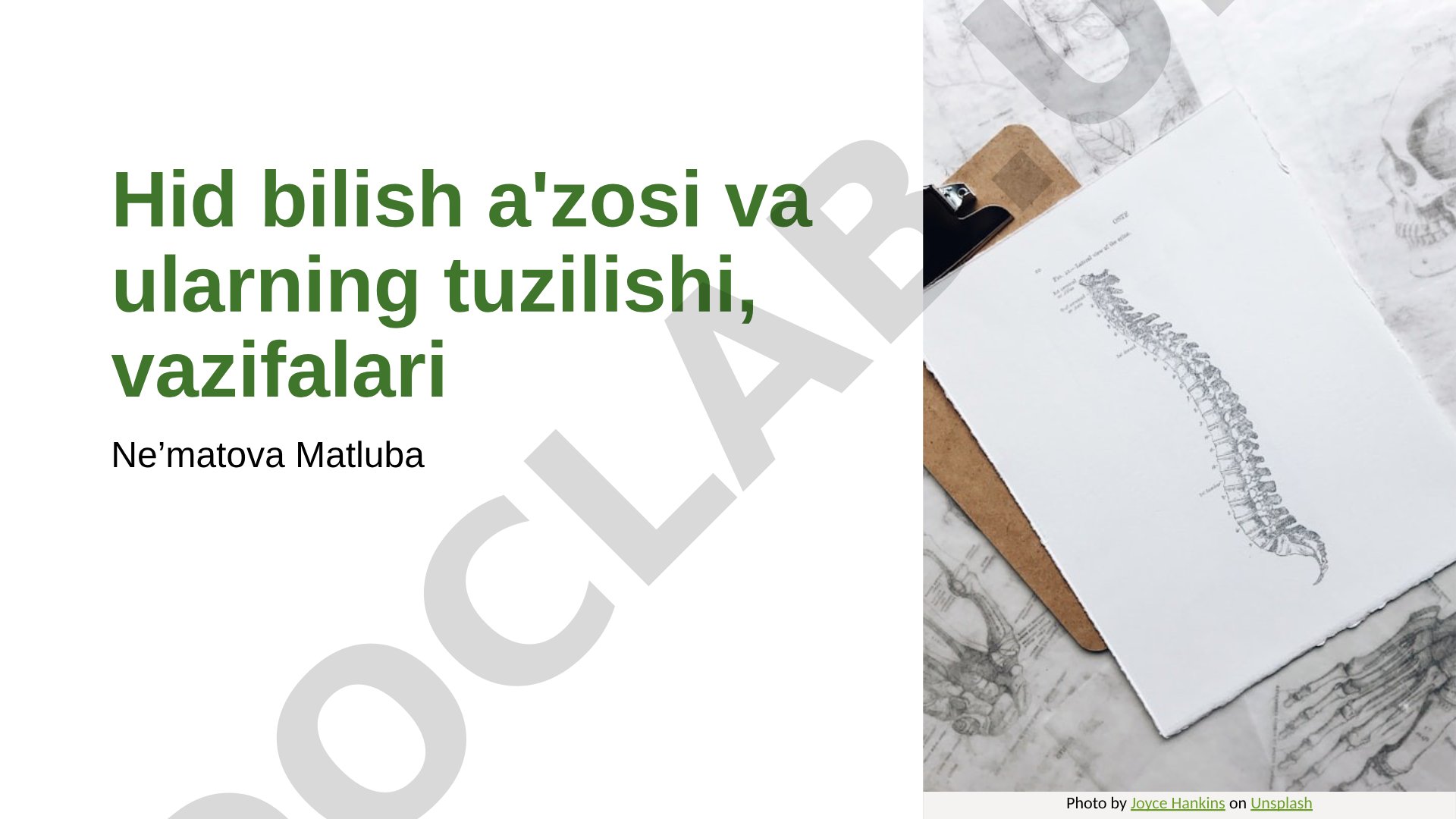 Hid bilish a'zosi va ularning tuzilishi, vazifalari
