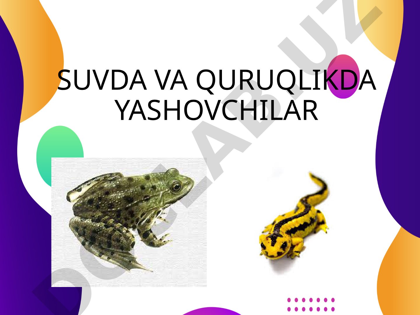 Suvda va quruqlikda yashovchilar sinfi va baqasimonlar oilasi